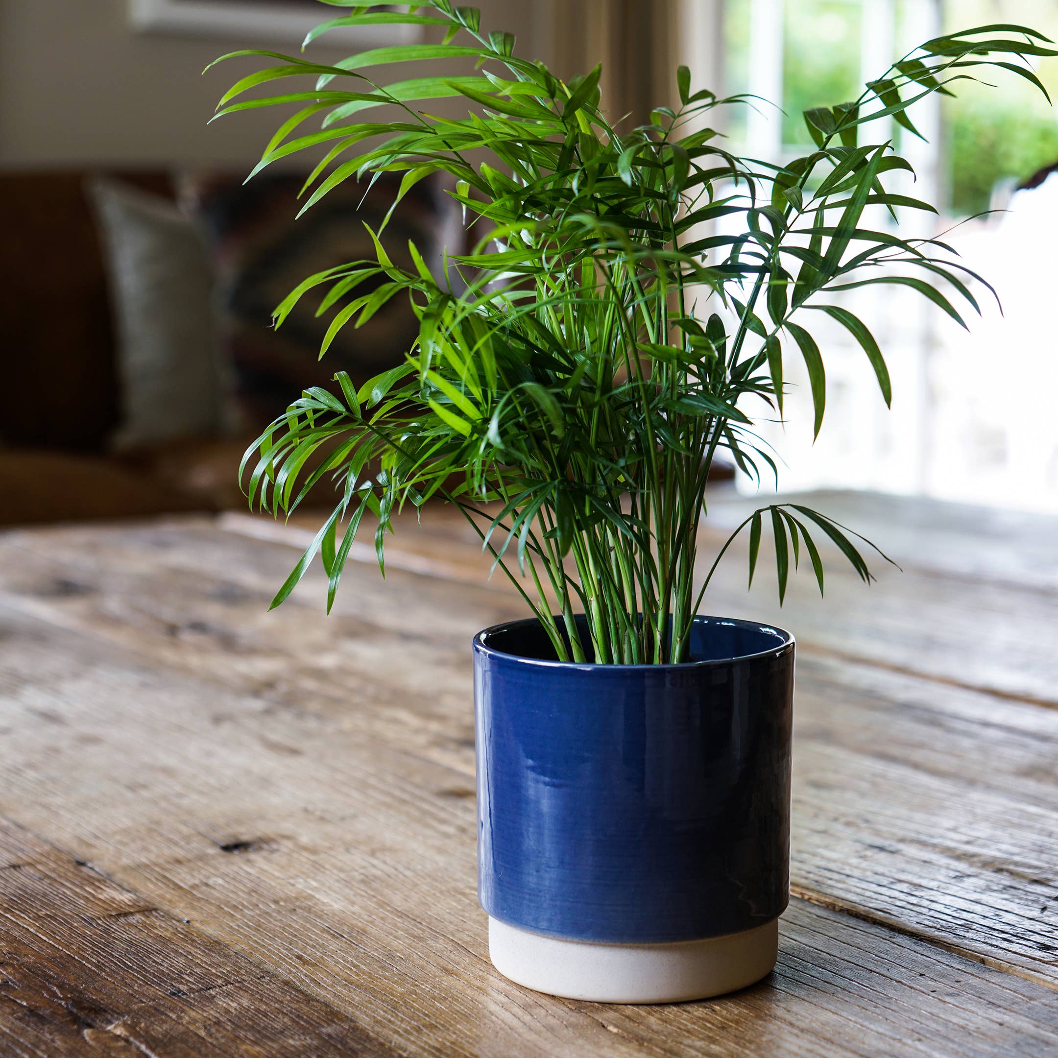 Enos Ceramic Indoor Plant Pot H13.5cm D13cm