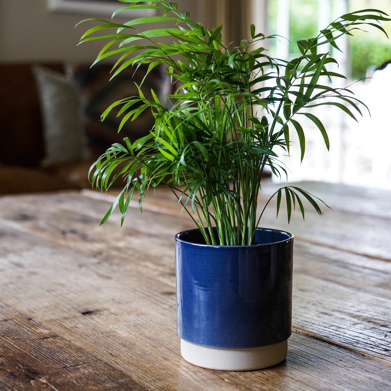Enos Ceramic Indoor Plant Pot H10.5cm D10cm