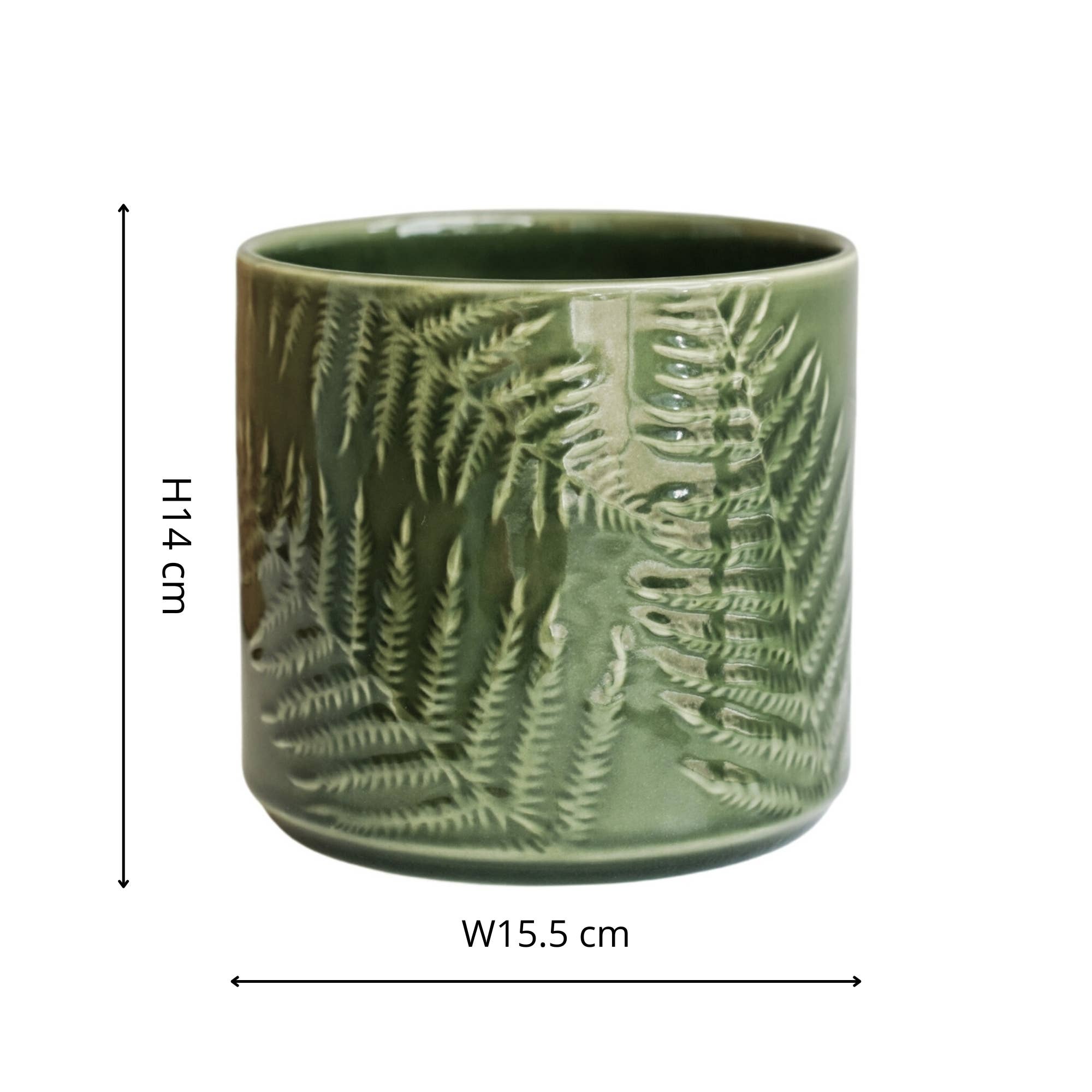 Orla Glazed Fern Planter