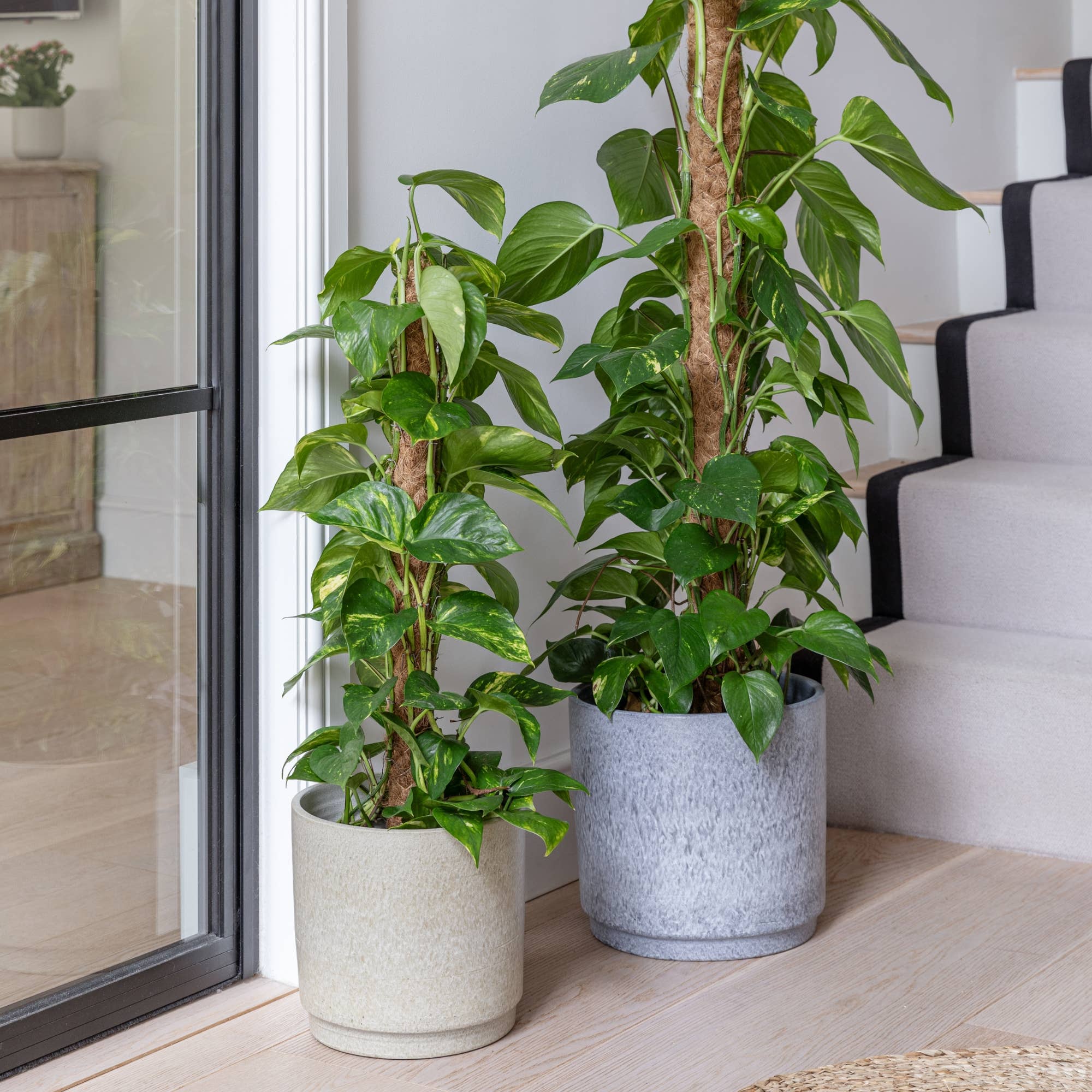 Wesley Marble Planter