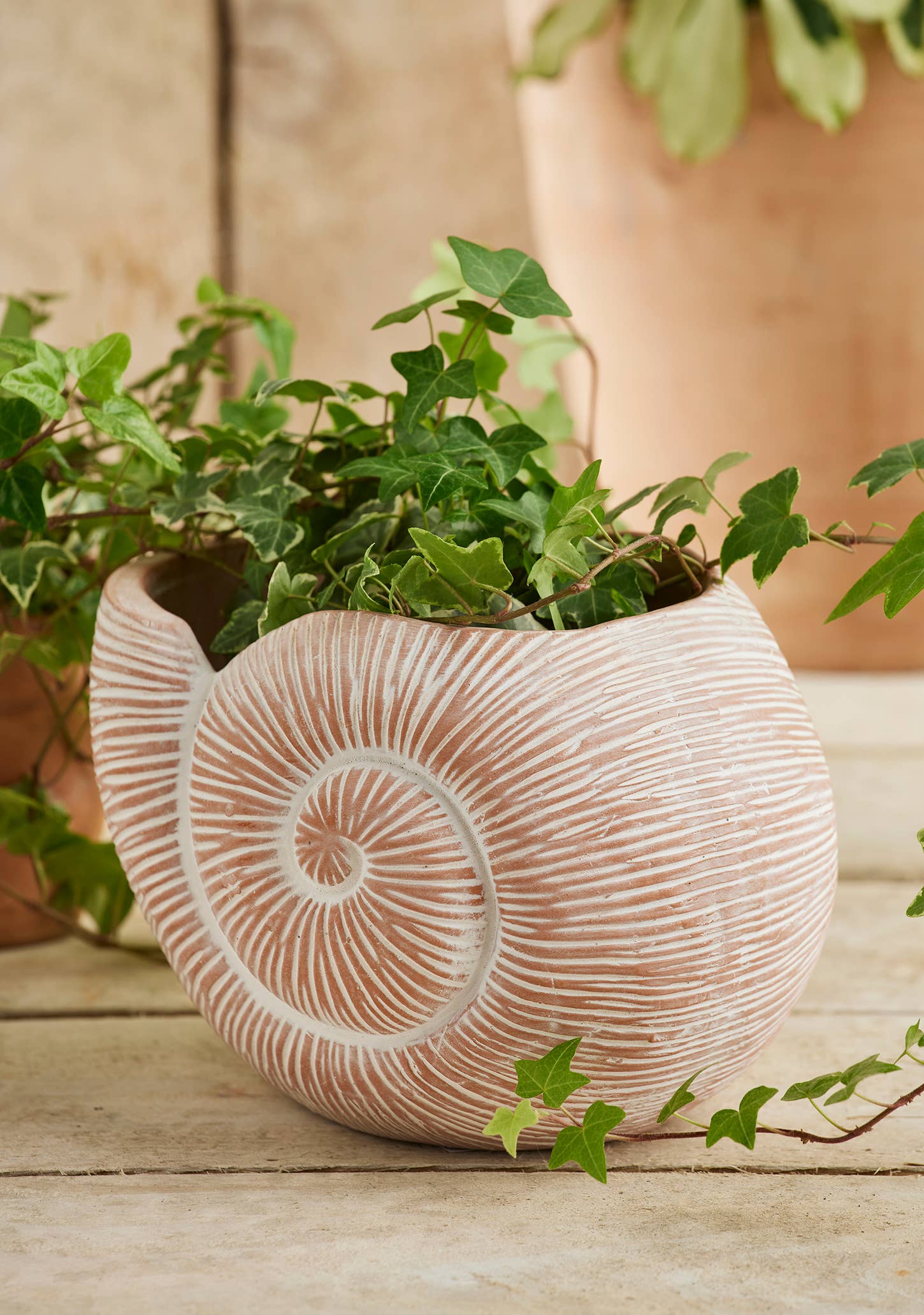 Terracotta Nautilus Planter