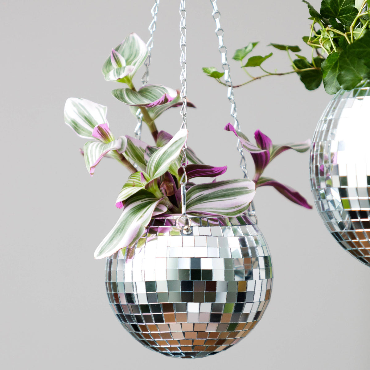 Disco Ball Hanging Planter 6-inch | Home & Lifestyle Gift