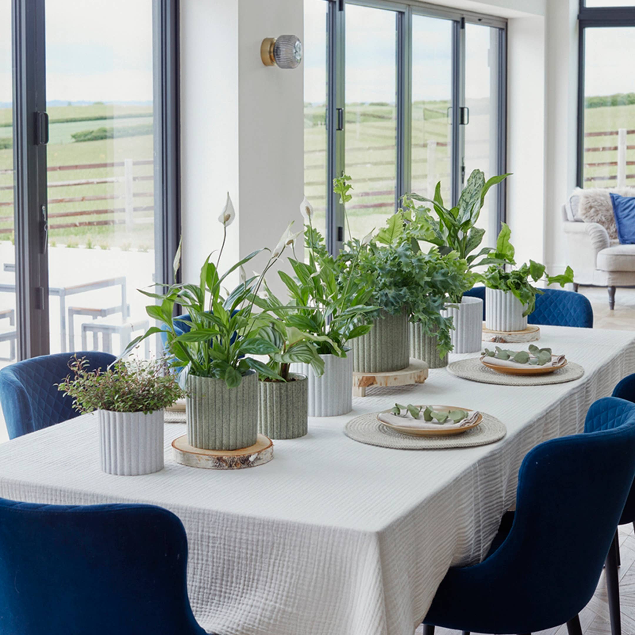 Azalea Stone Ribbed Speckle Earthenware Indoor Planter