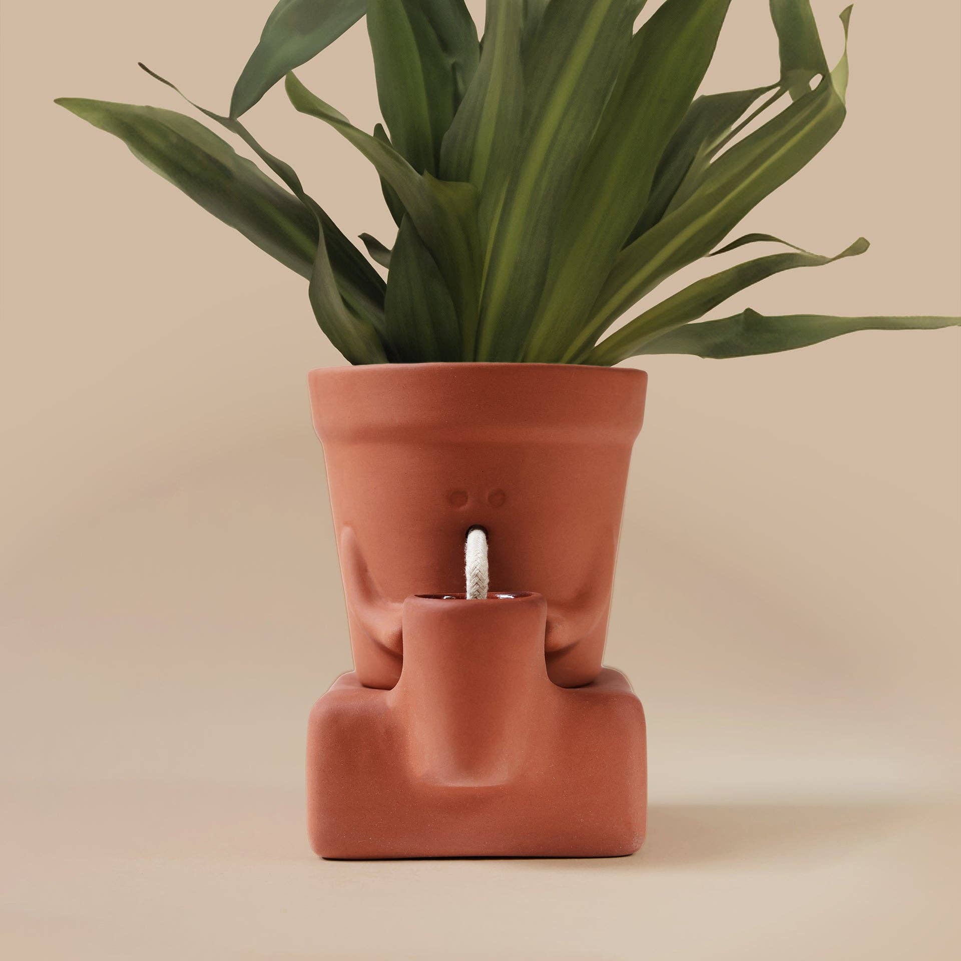 The Thirsty Planter | Self-Watering Plant Pot | Plant Gift