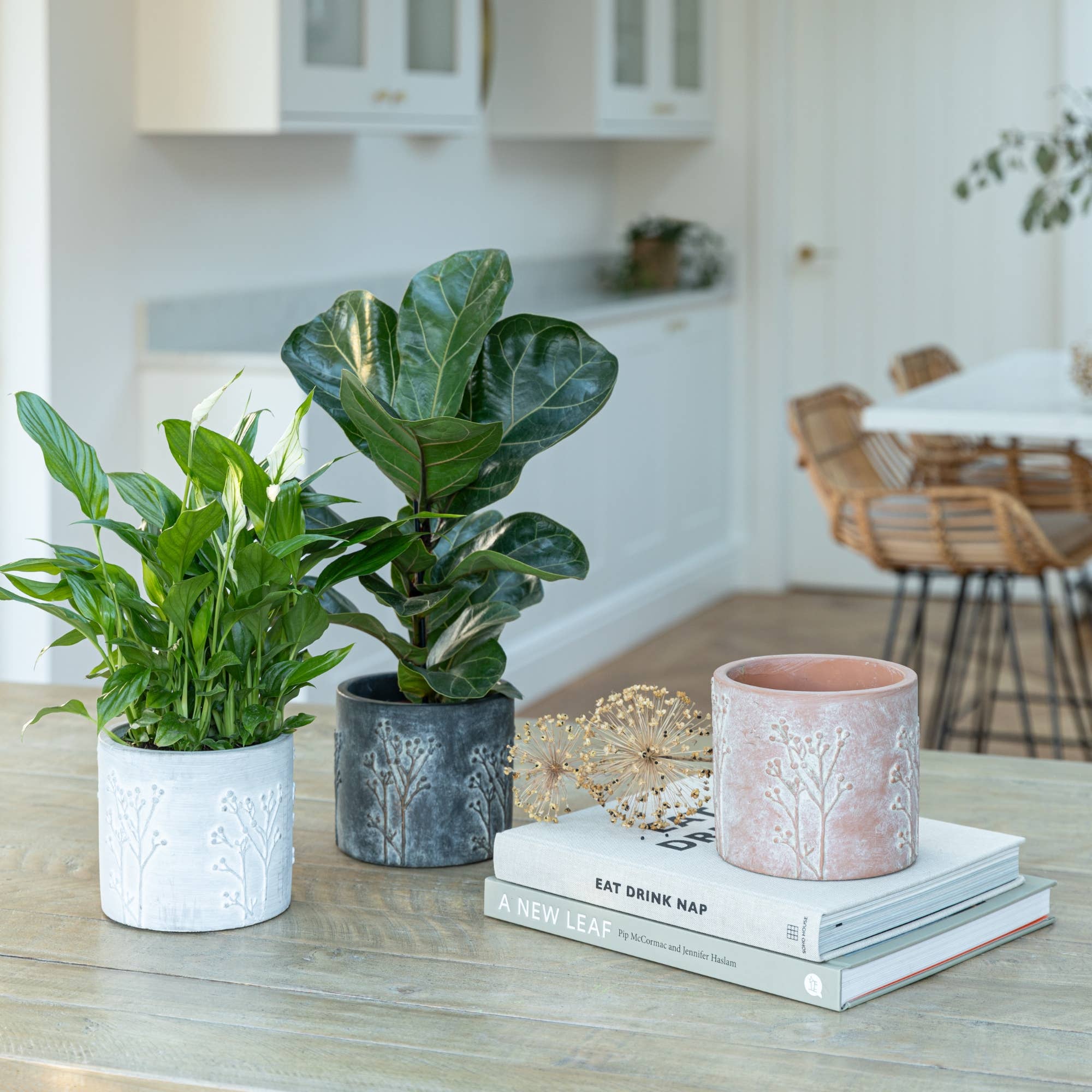 Hallie Cement Embossed Indoor Planter H13cm D14cm