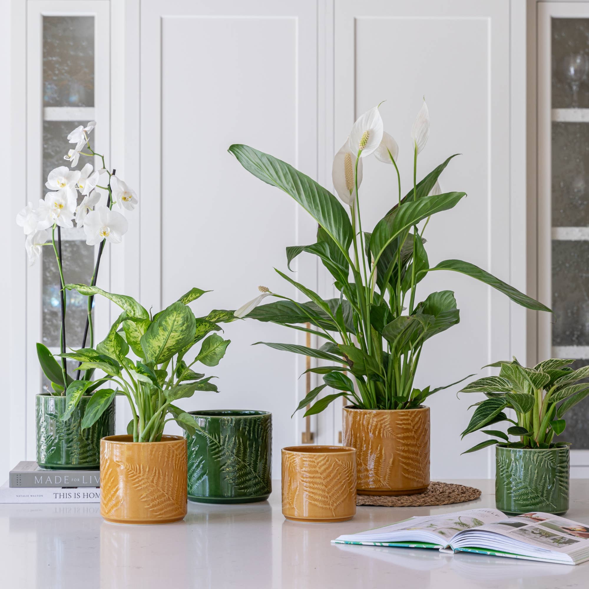 Orla Glazed Fern Planter