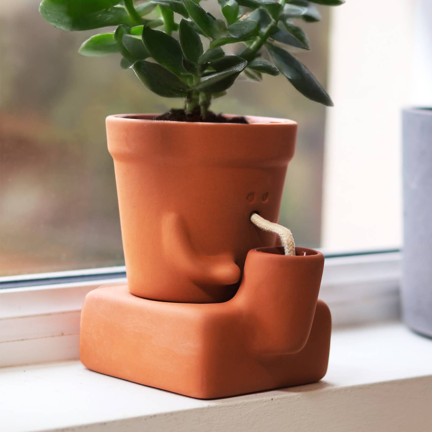 The Thirsty Planter | Self-Watering Plant Pot | Plant Gift