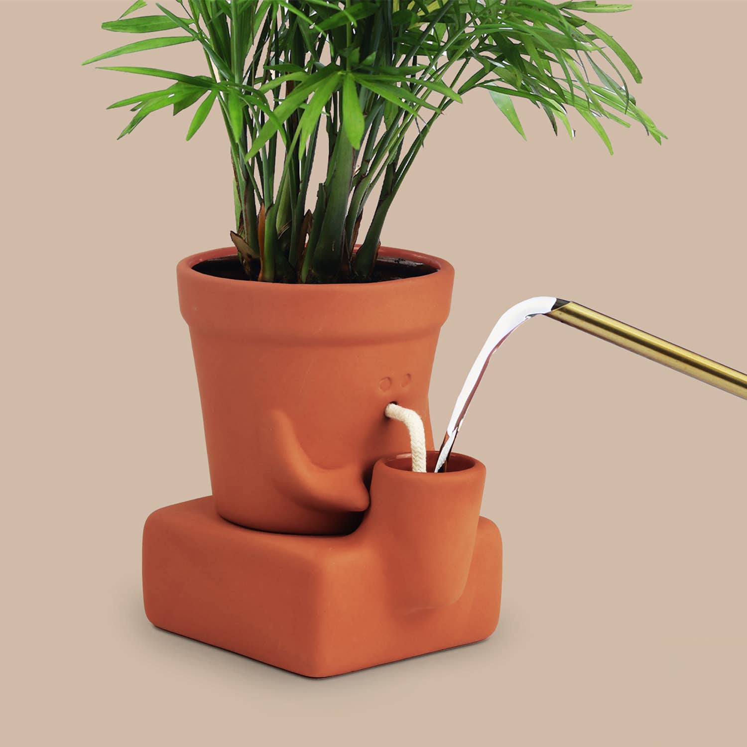 The Thirsty Planter | Self-Watering Plant Pot | Plant Gift