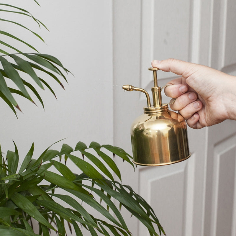 Plant Mister Brass