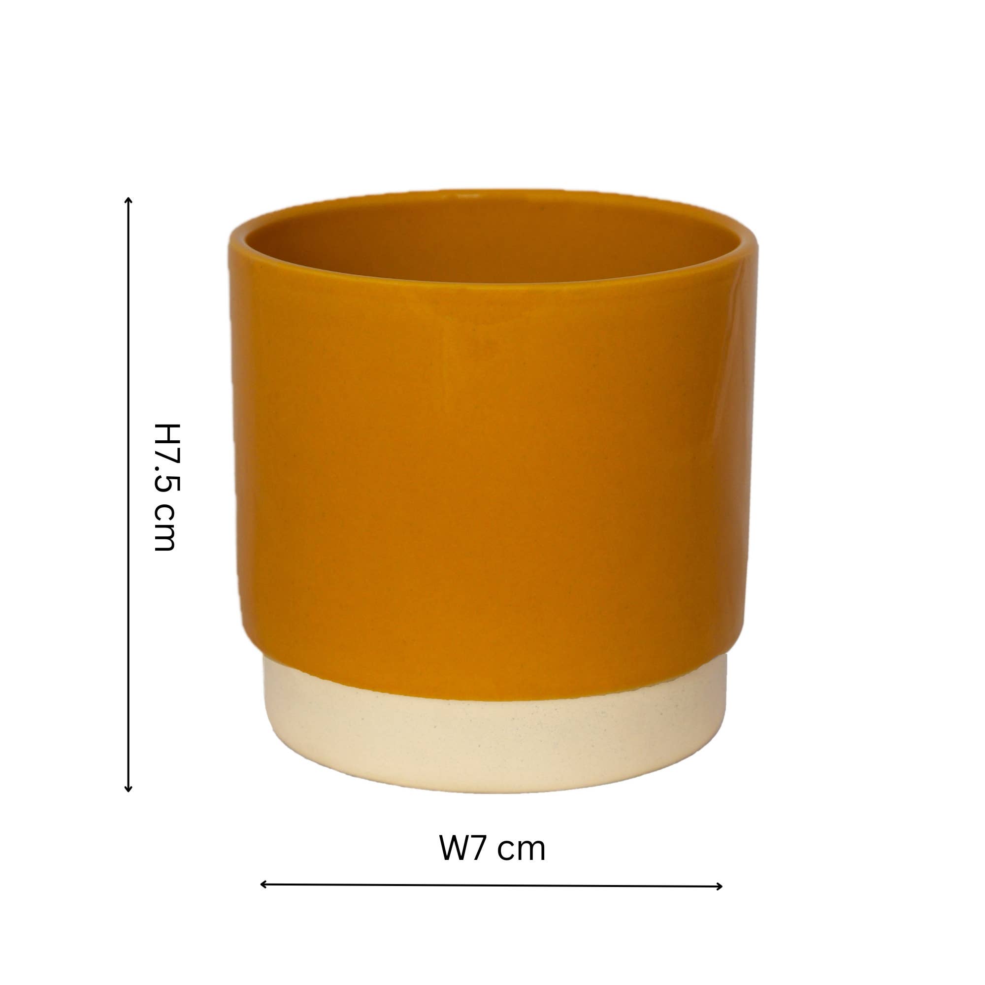 Enos Ceramic Indoor Cacti Plant Pot