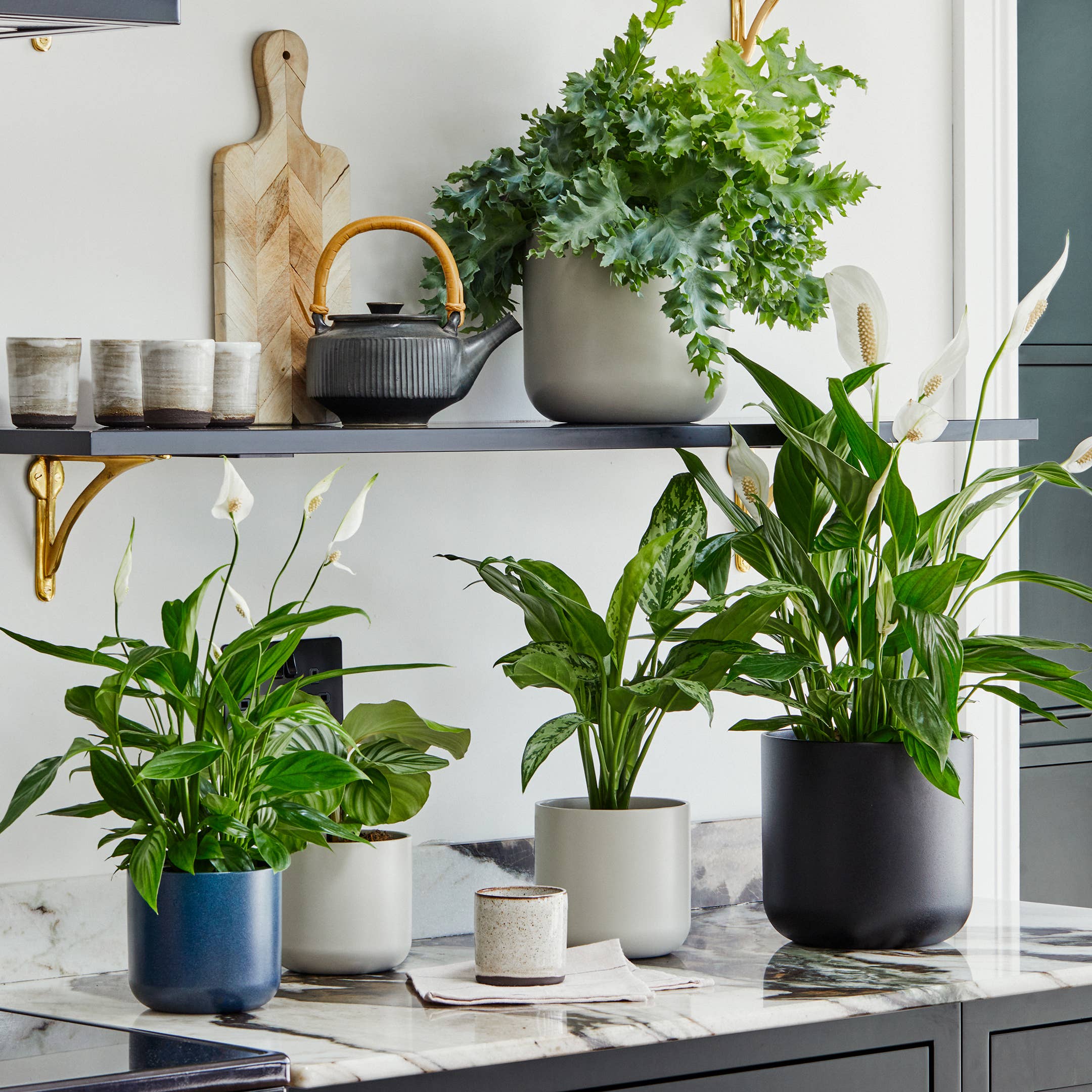 Lisbon Ceramic Indoor Planter H13.5cm D13.5cm