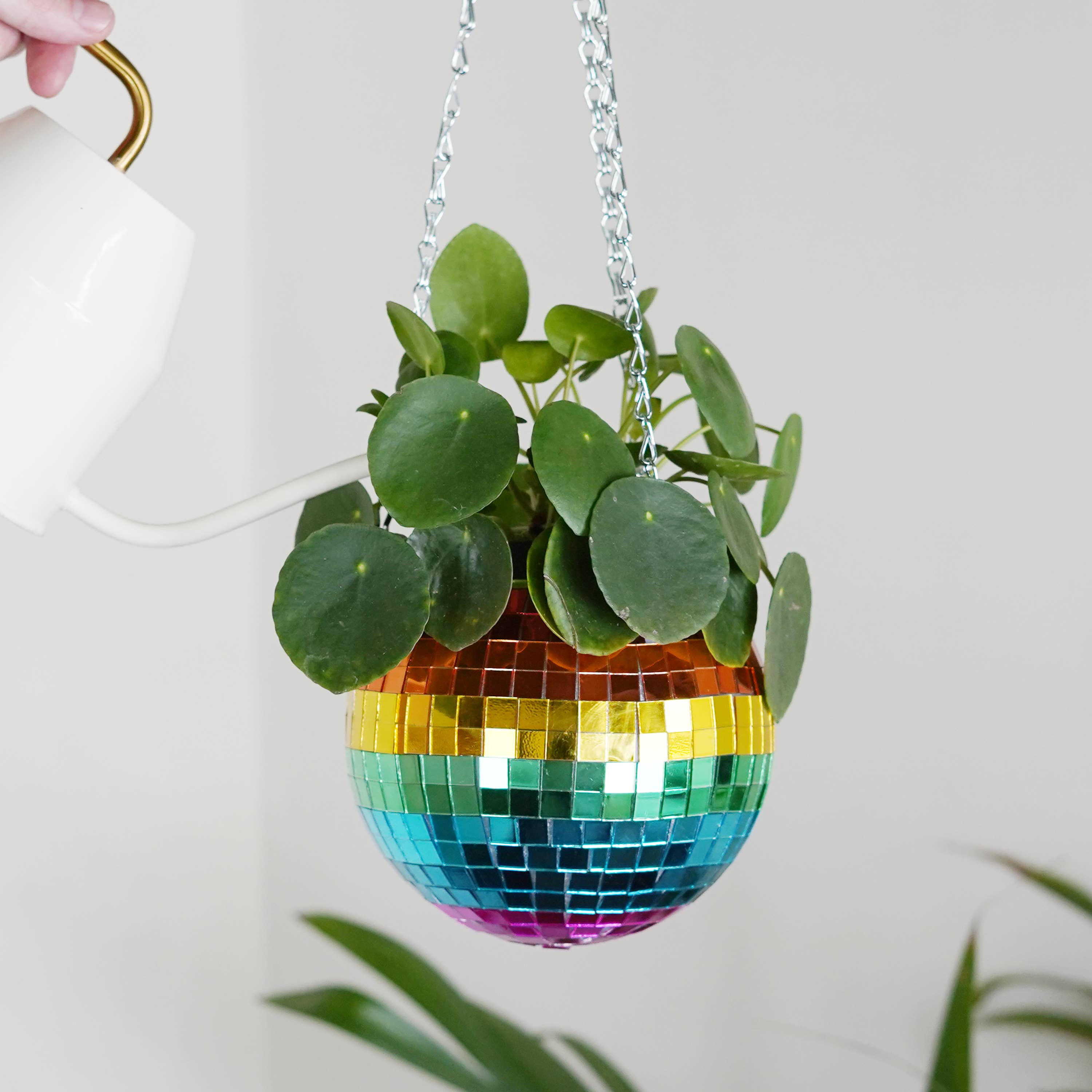 Disco Ball Hanging Planter - Rainbow (6in)