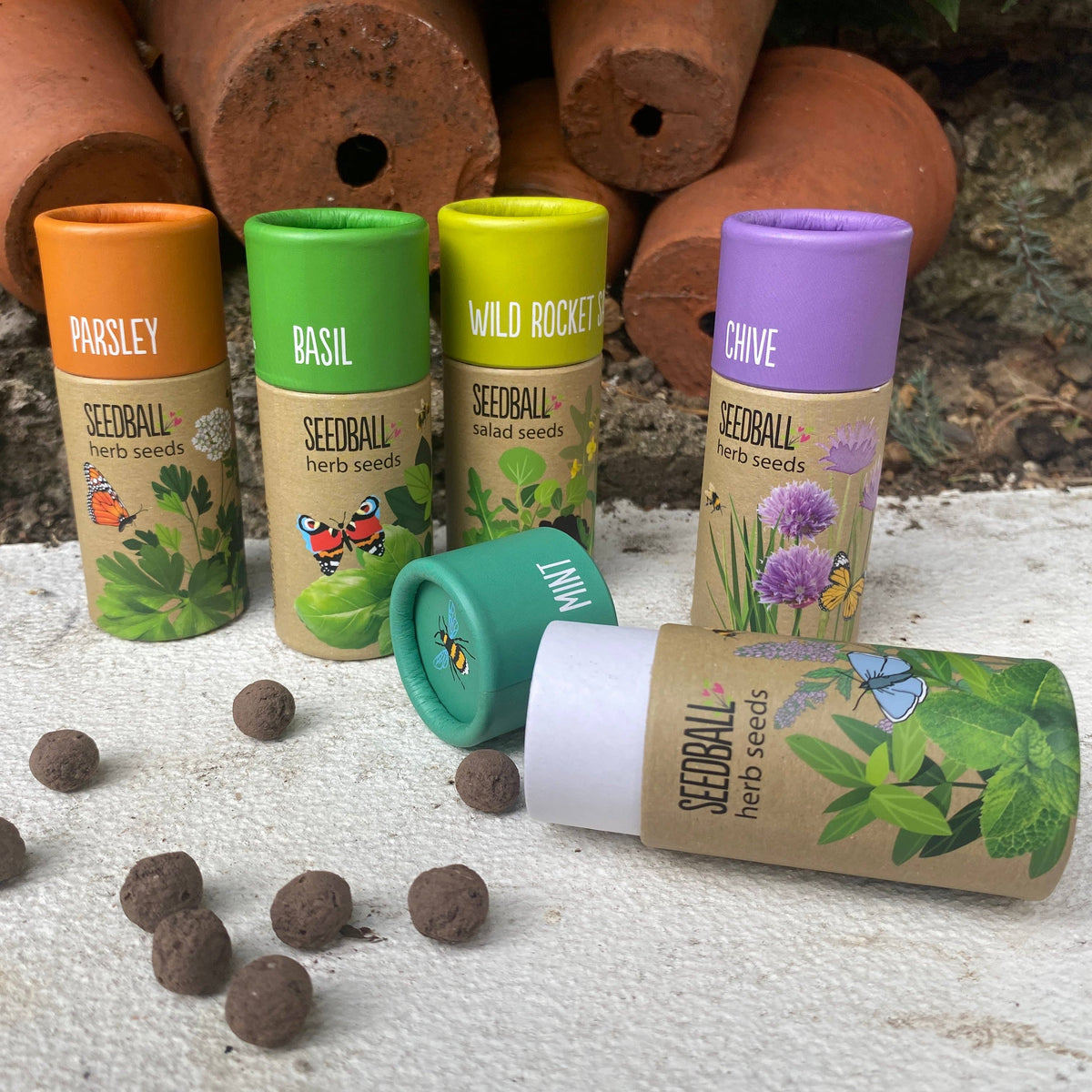 Herb Seedball Tubes - Mixed Box