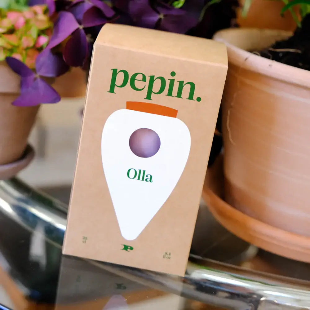 Olla -  Green and lilac stripes