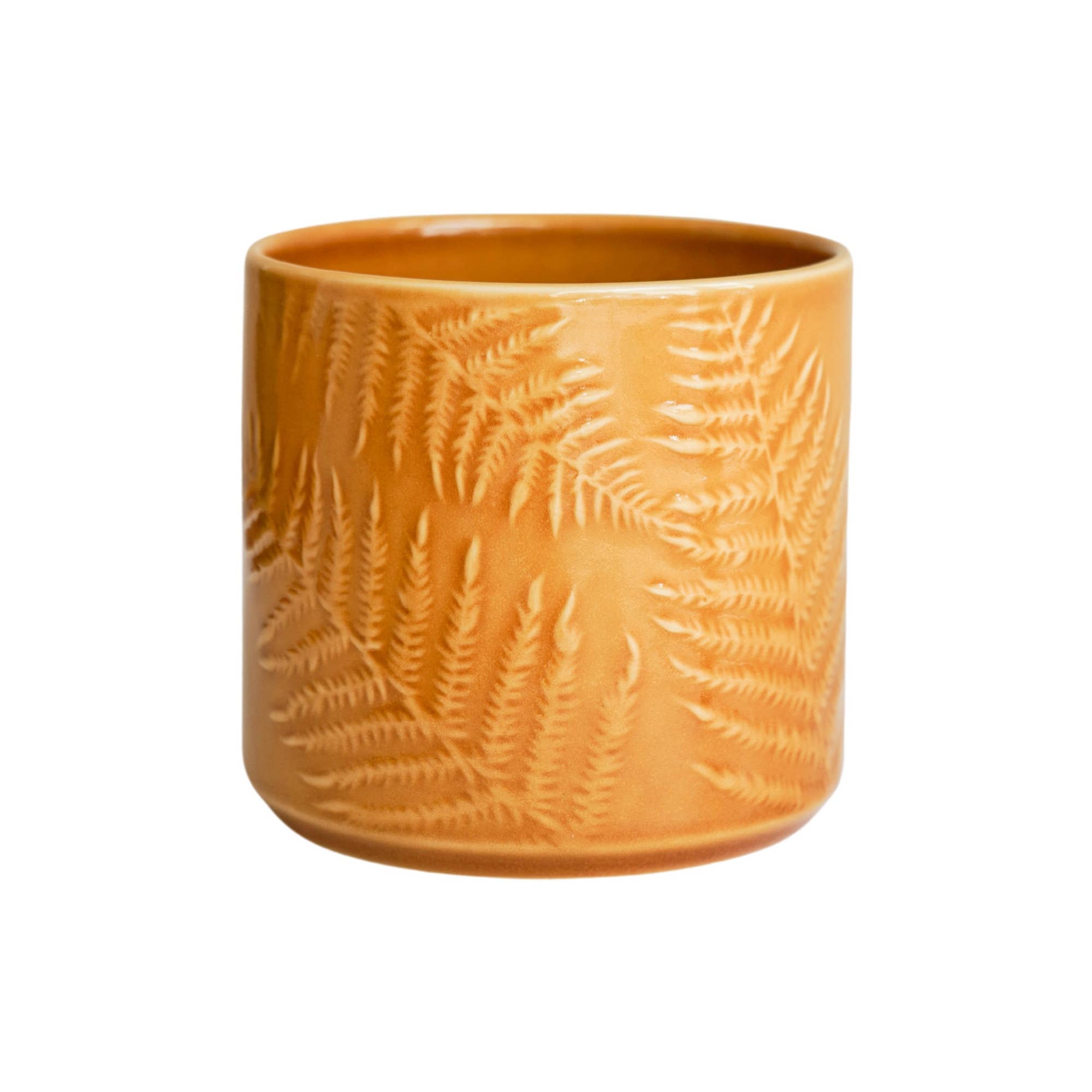 Orla Glazed Fern Planter
