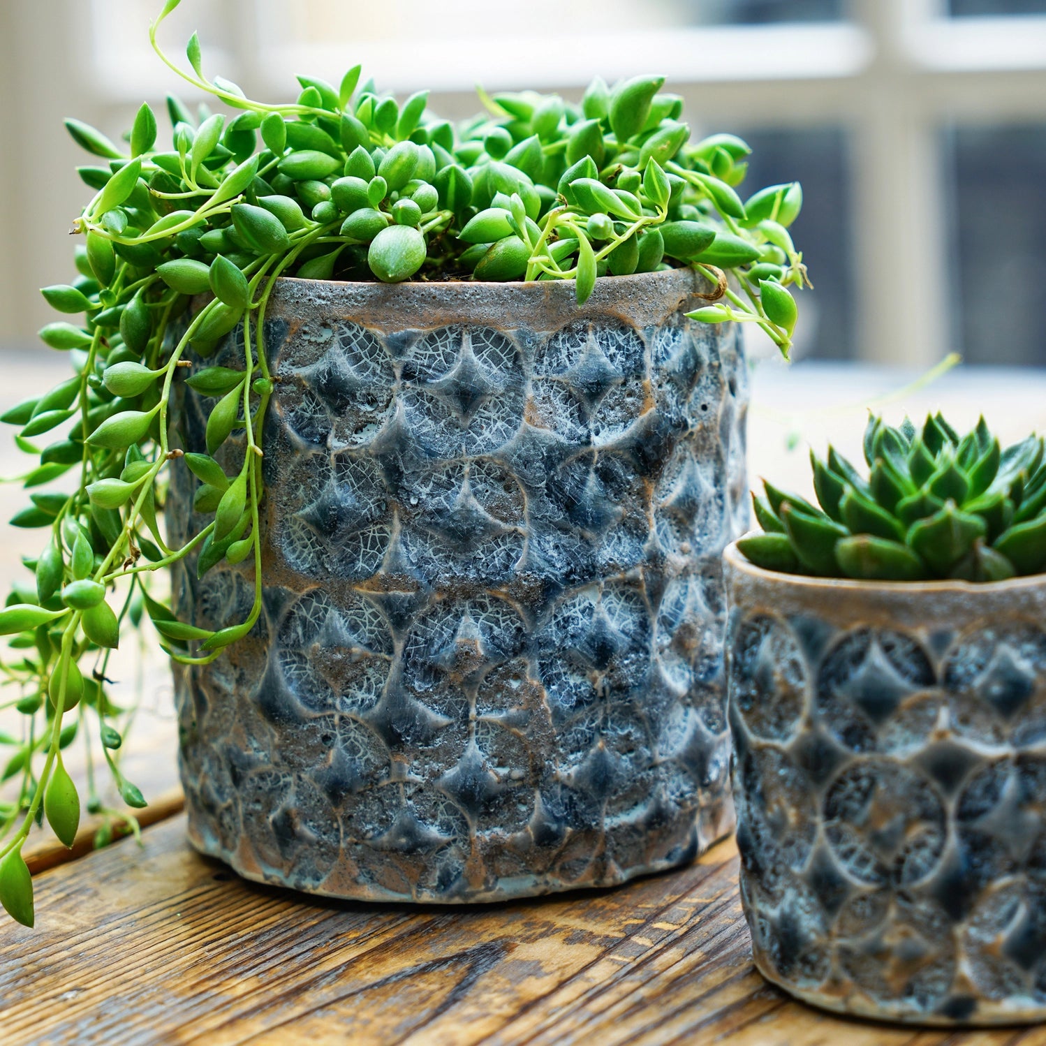 Terni Premium Glaze Ceramic Indoor Planter H11cm D10.5cm