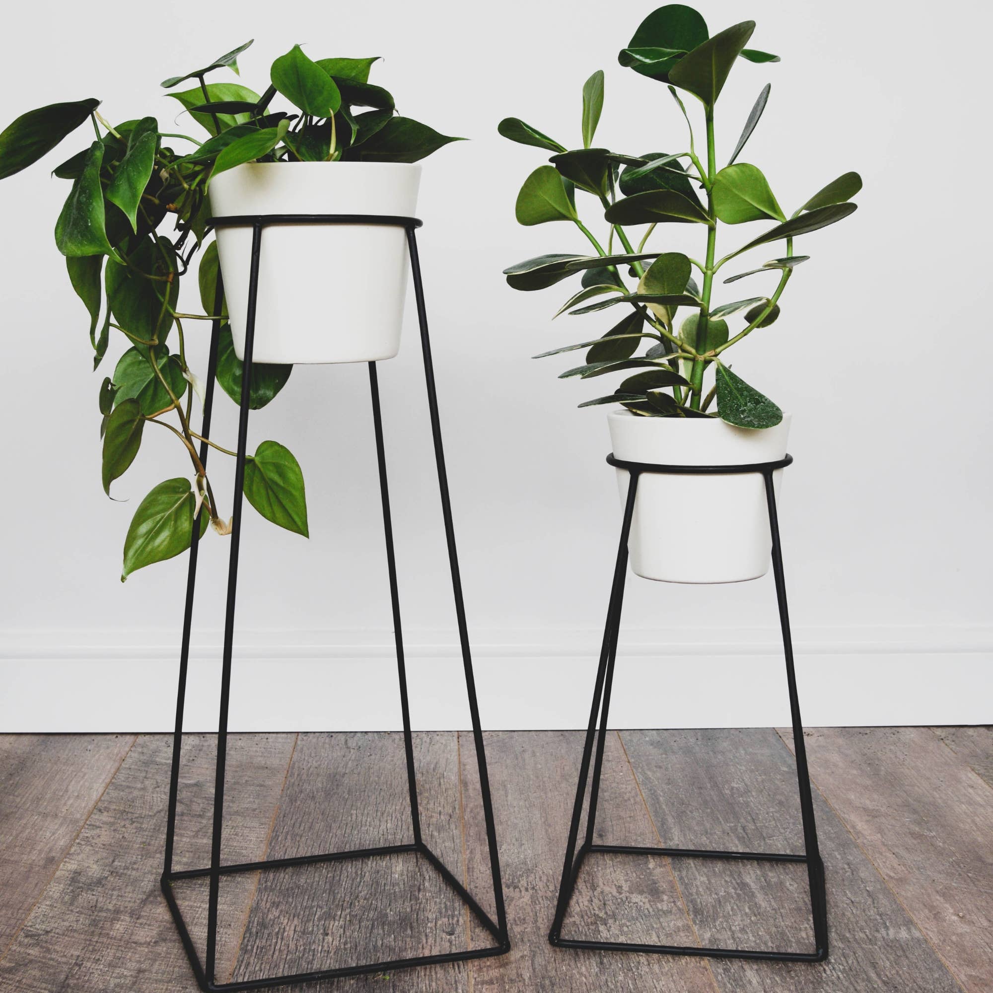 Minimo Plant Stand