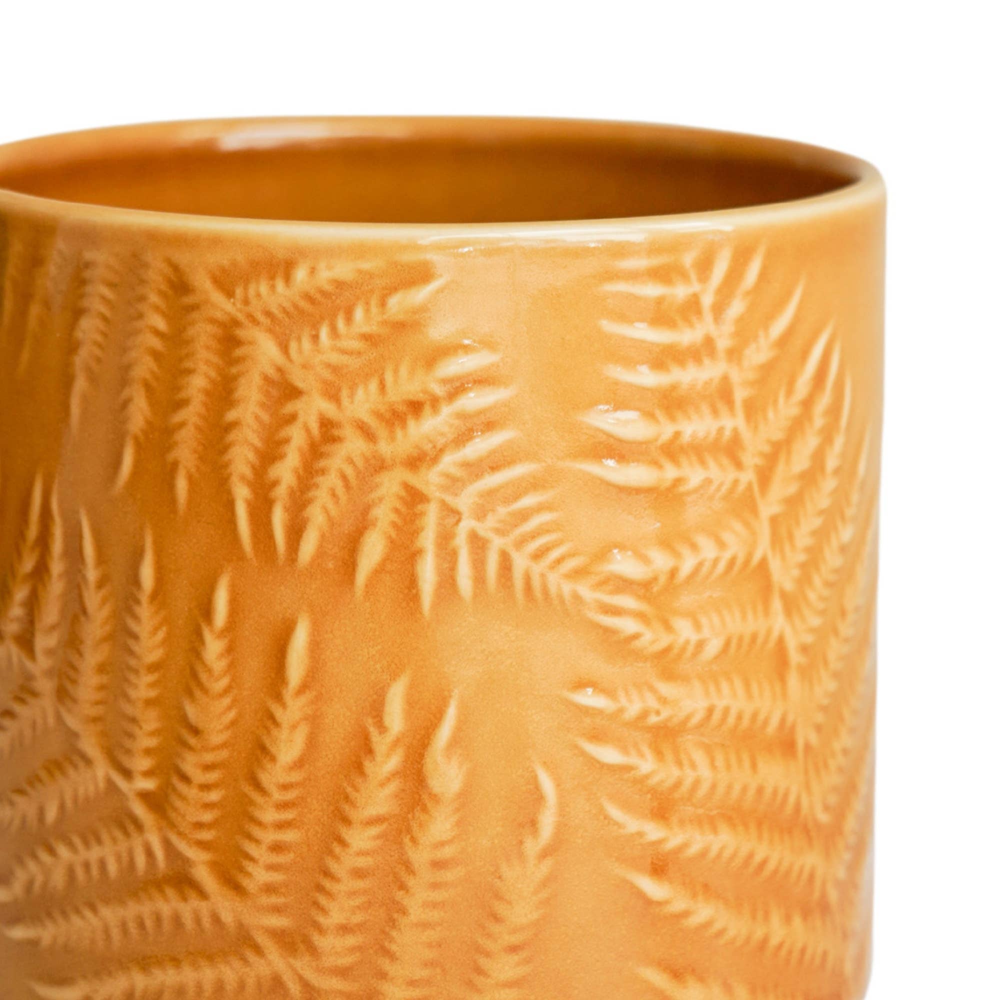 Orla Glazed Fern Planter