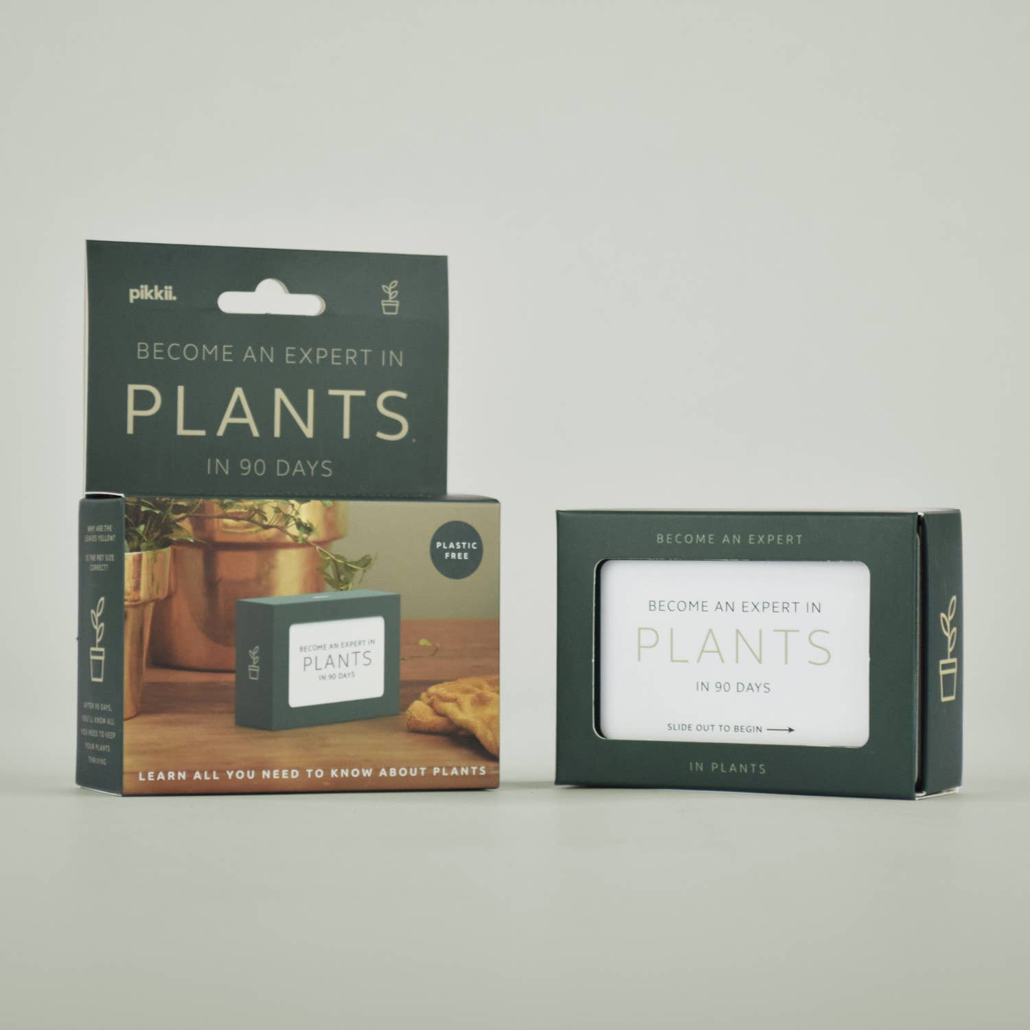 Become an Expert in Plants in 90 Days Slide Box | Plant Gift