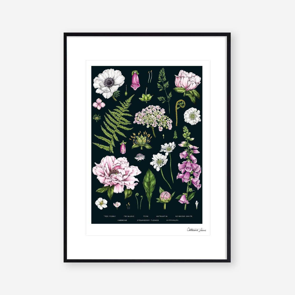 Summer Garden - Black - Art Print