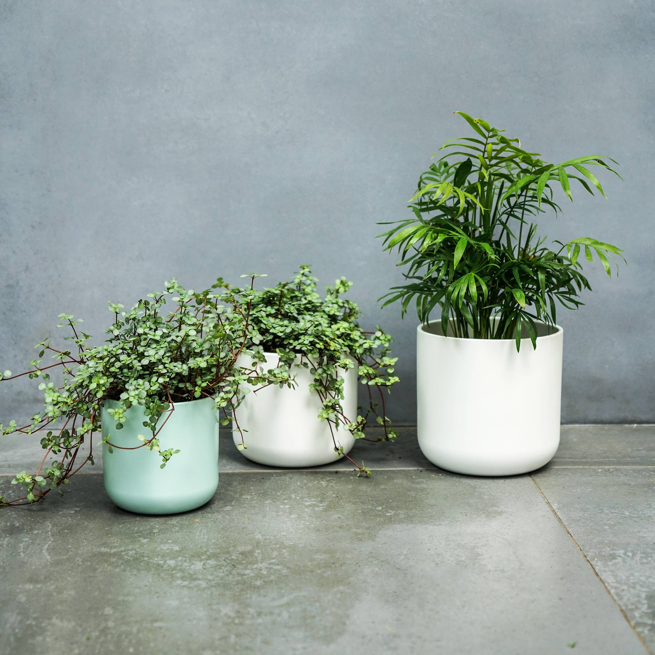 Lisbon Ceramic Indoor Planter H20.5cm D20.5cm