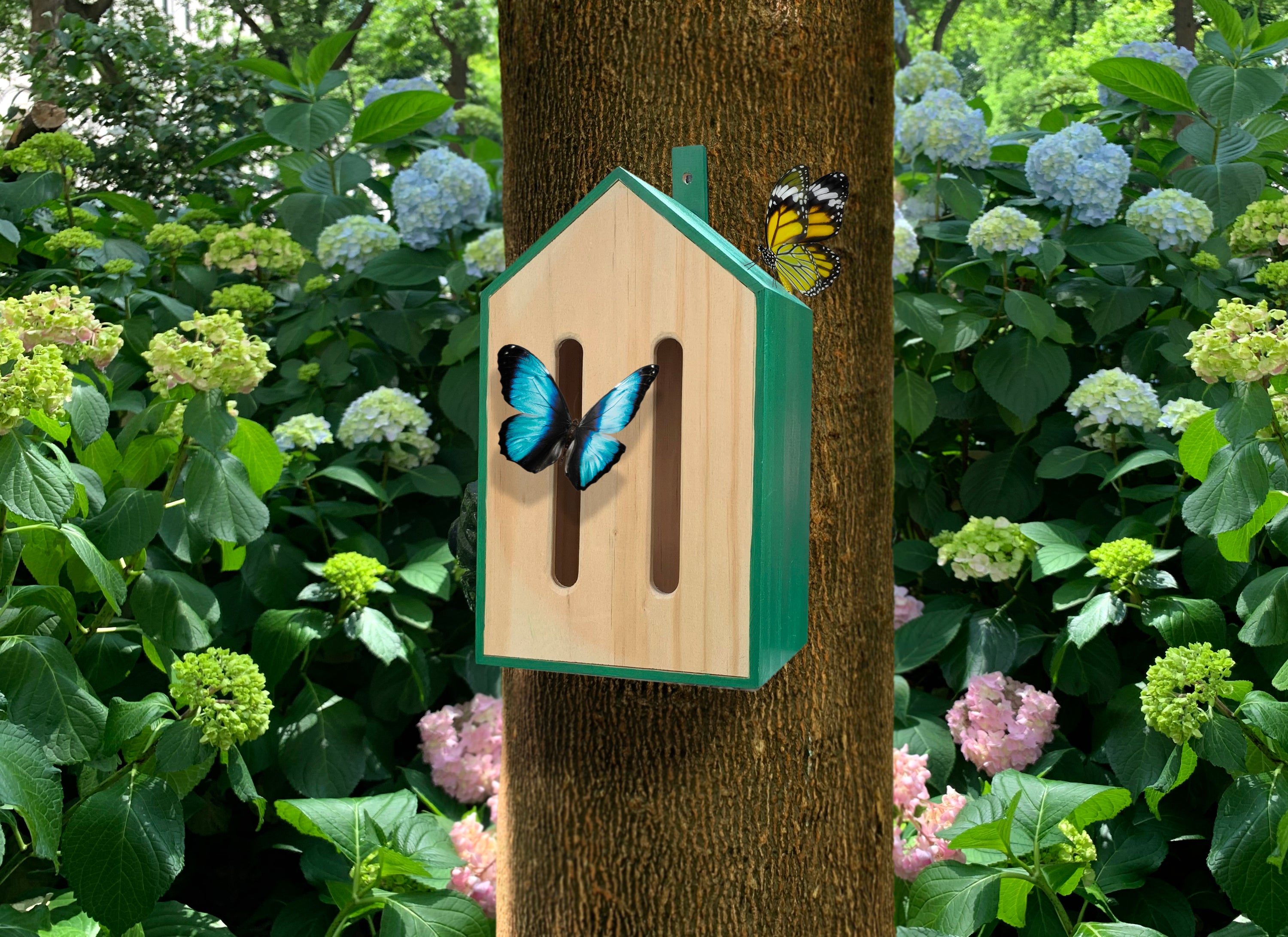 Little Butterfly House