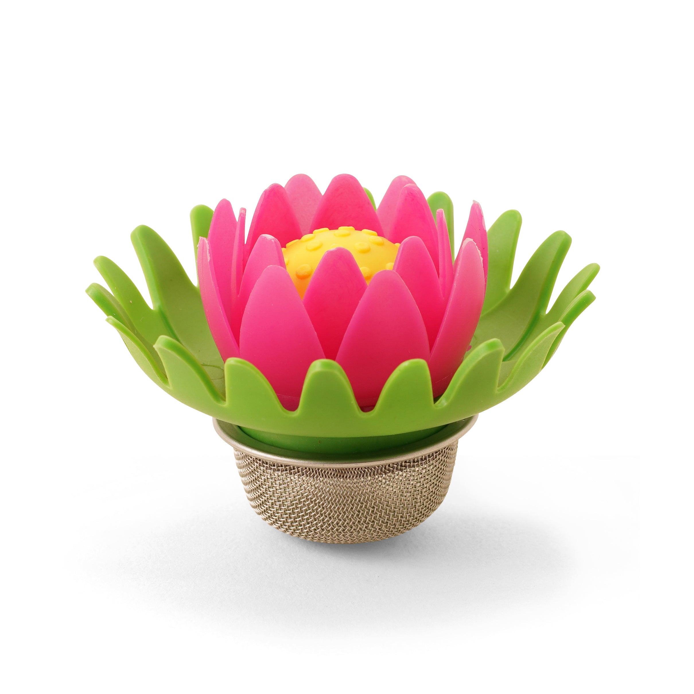 Lotus Tea Influencer