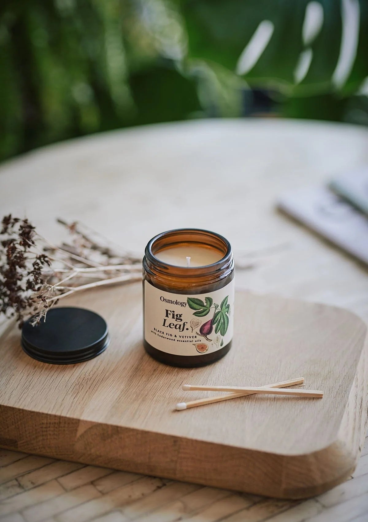Fig Leaf Scented Jar Candle by Osmology