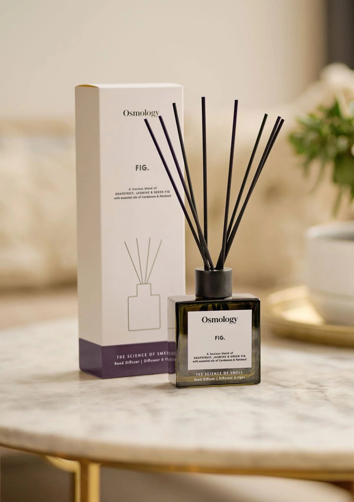 Osmology Fig Reed Diffuser by Aery