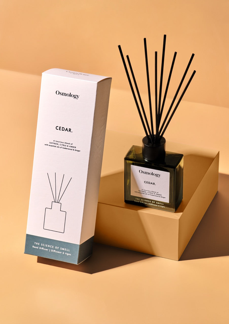 Osmology Cedar Reed Diffuser by Aery