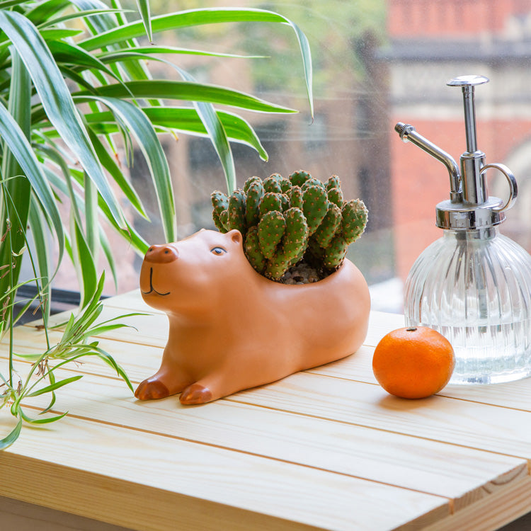 Cappy the Capybara Planter - Large