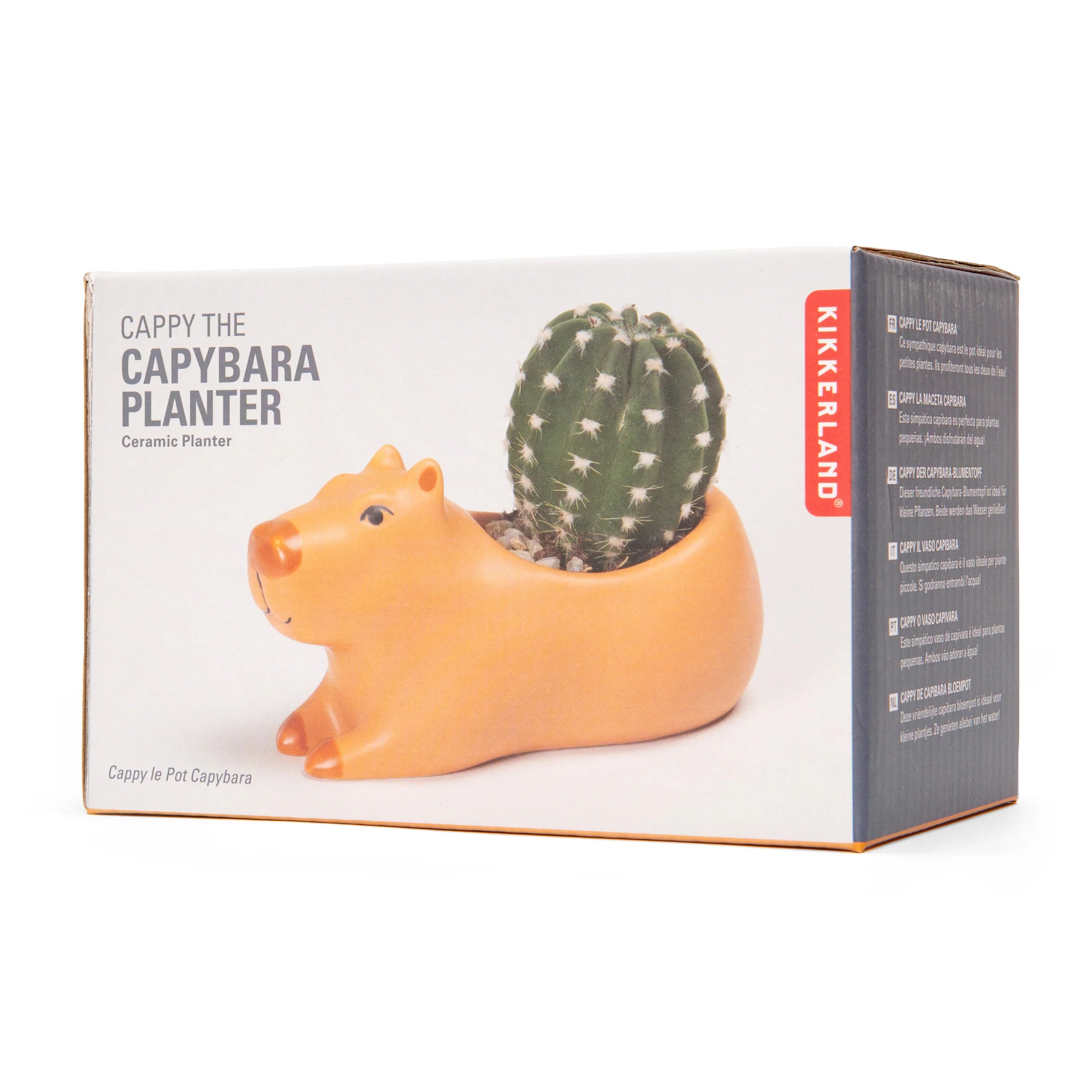 Cappy the Capybara Planter - Small