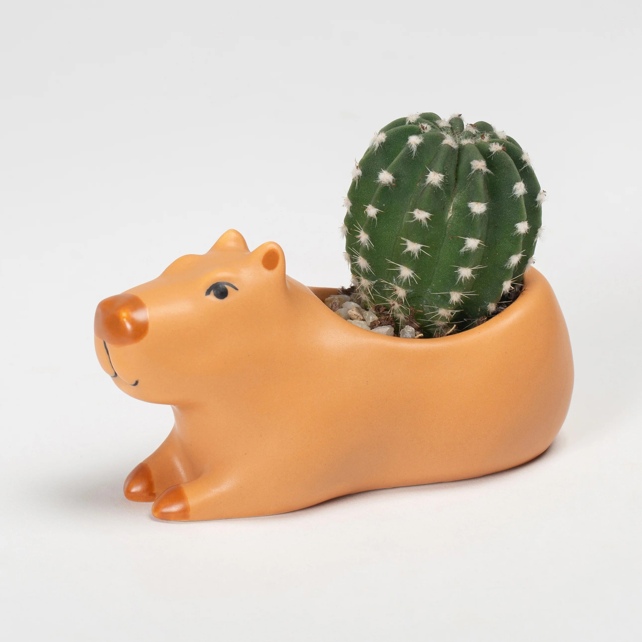 Cappy the Capybara Planter - Small