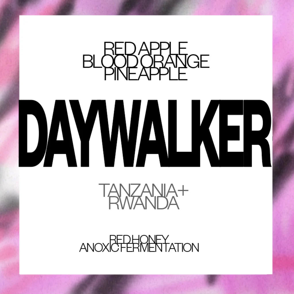 CATALYST DAYWALKER COFFEE BEANS 250 GRAMS