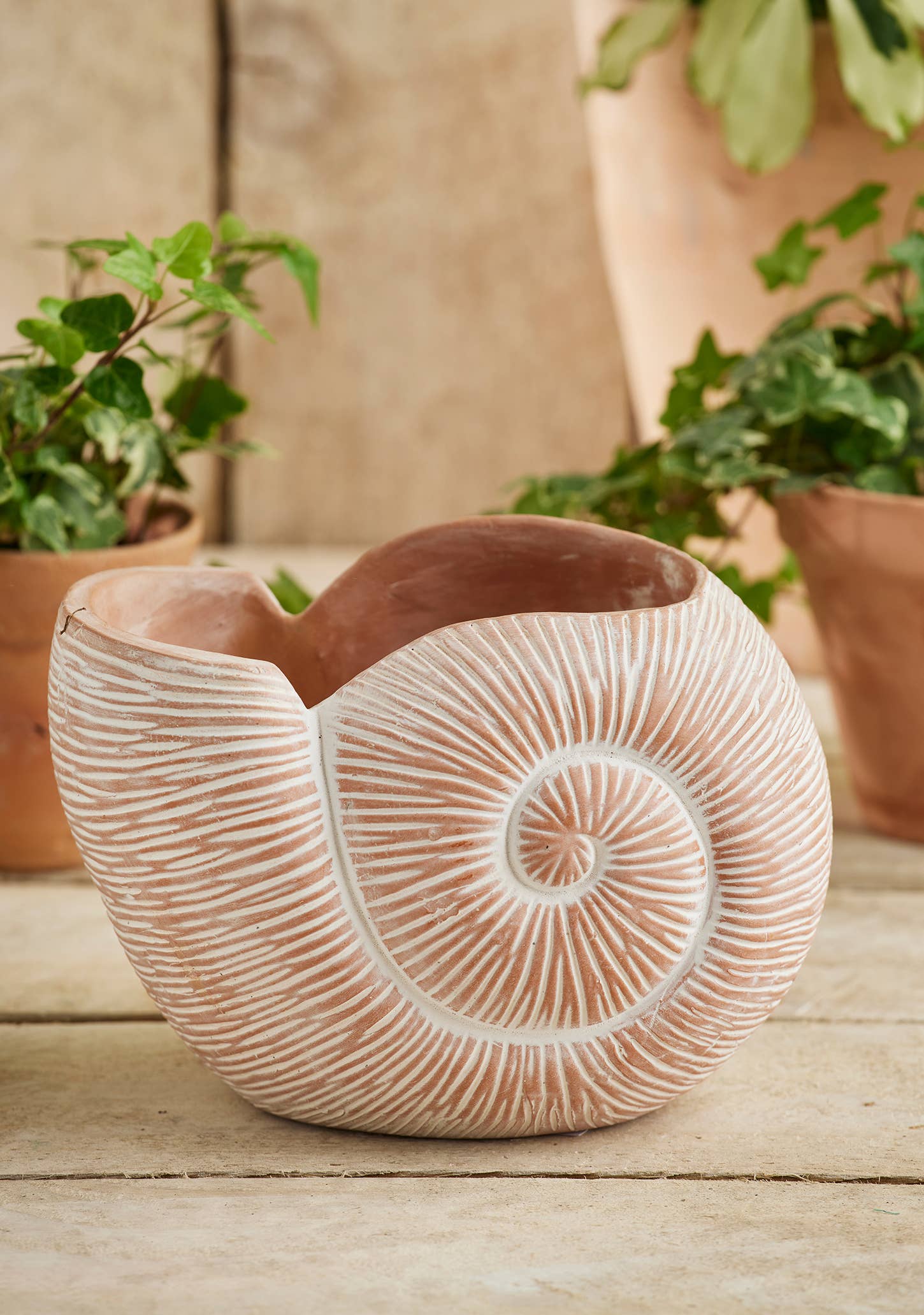 Terracotta Nautilus Planter