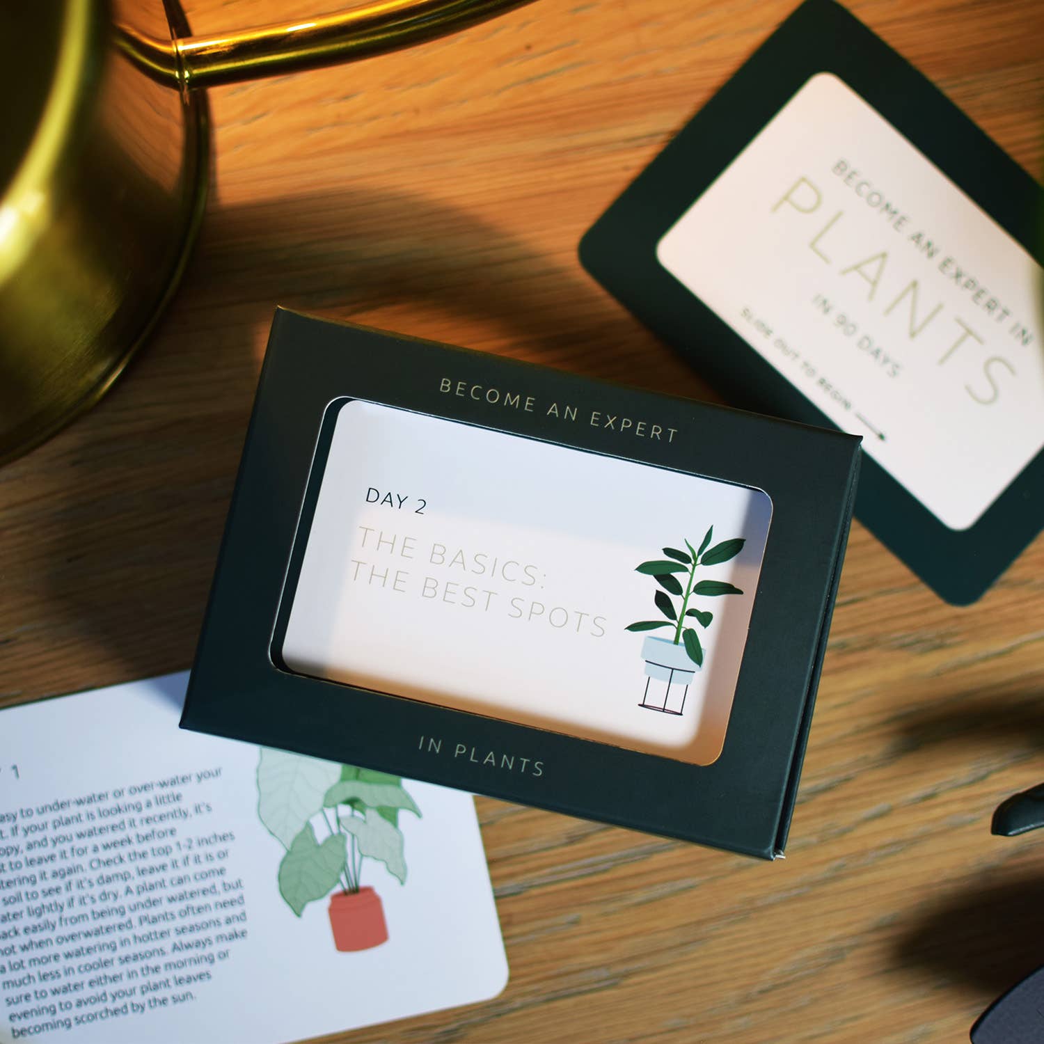 Become an Expert in Plants in 90 Days Slide Box | Plant Gift
