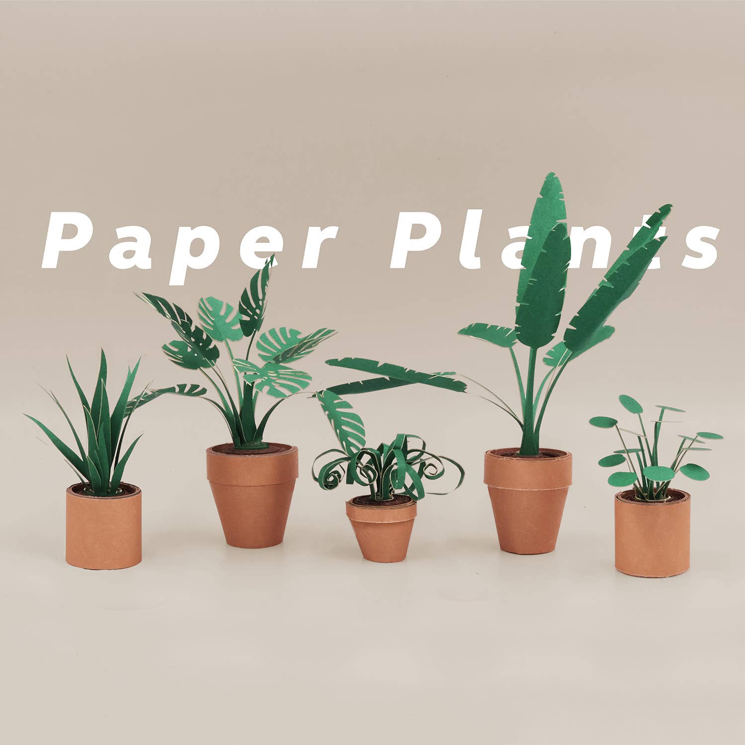 Paper Plants | Origami Kit for Desk Decor | DIY Gift