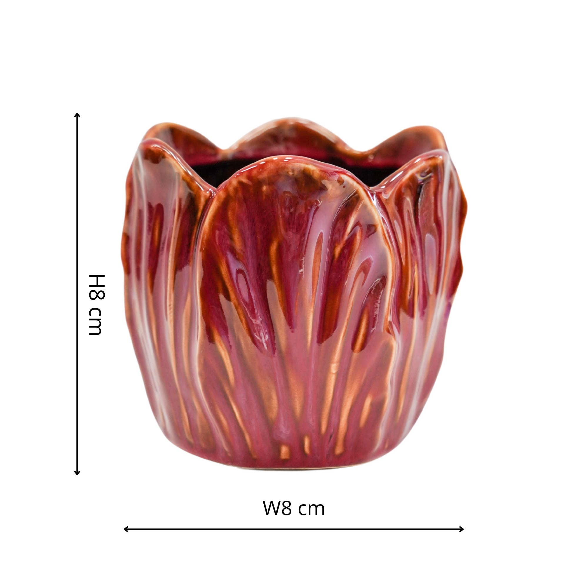 Alyssa Tulip Planter