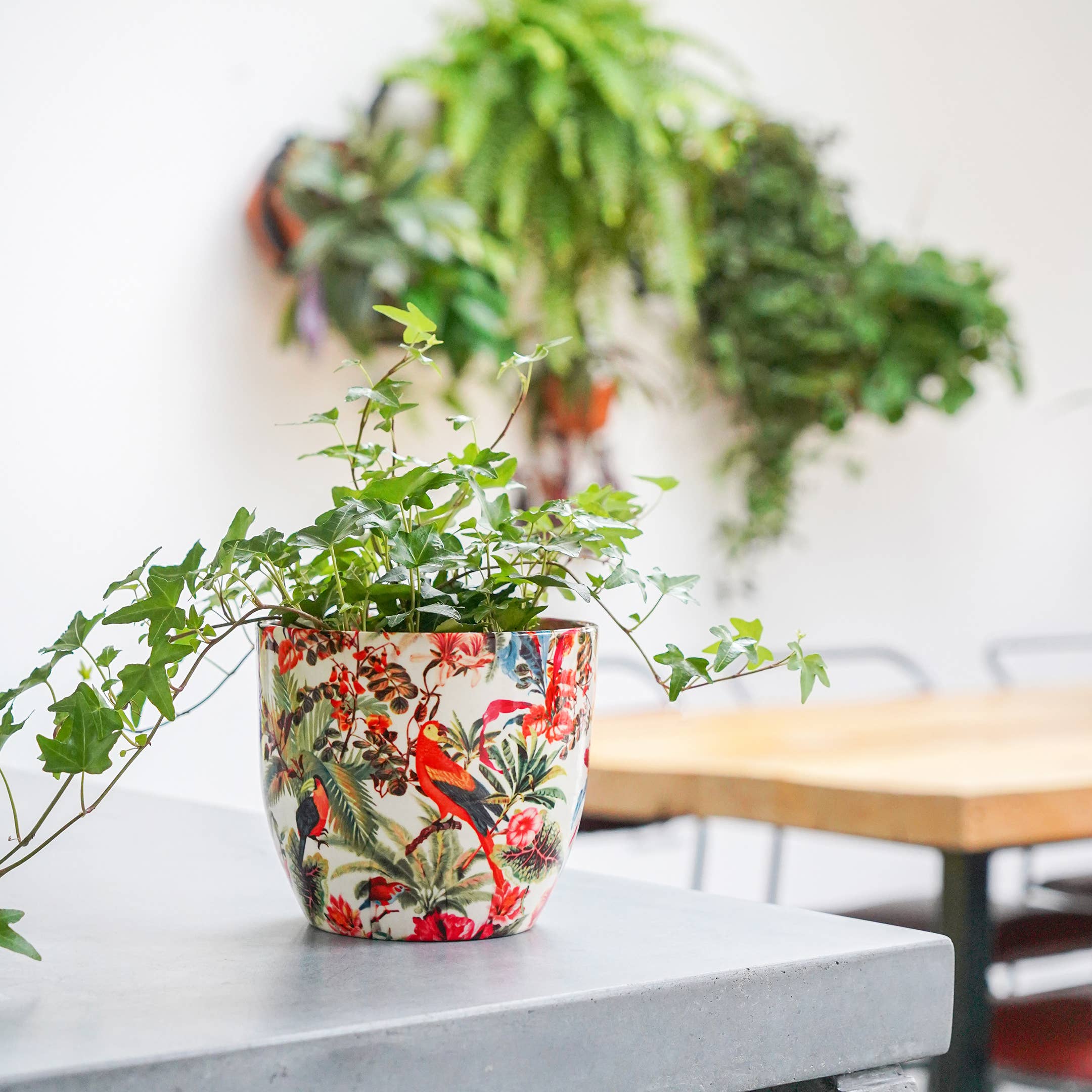 Monza Indoor Ceramic Plant Pot H16.5cm x D16.5cm