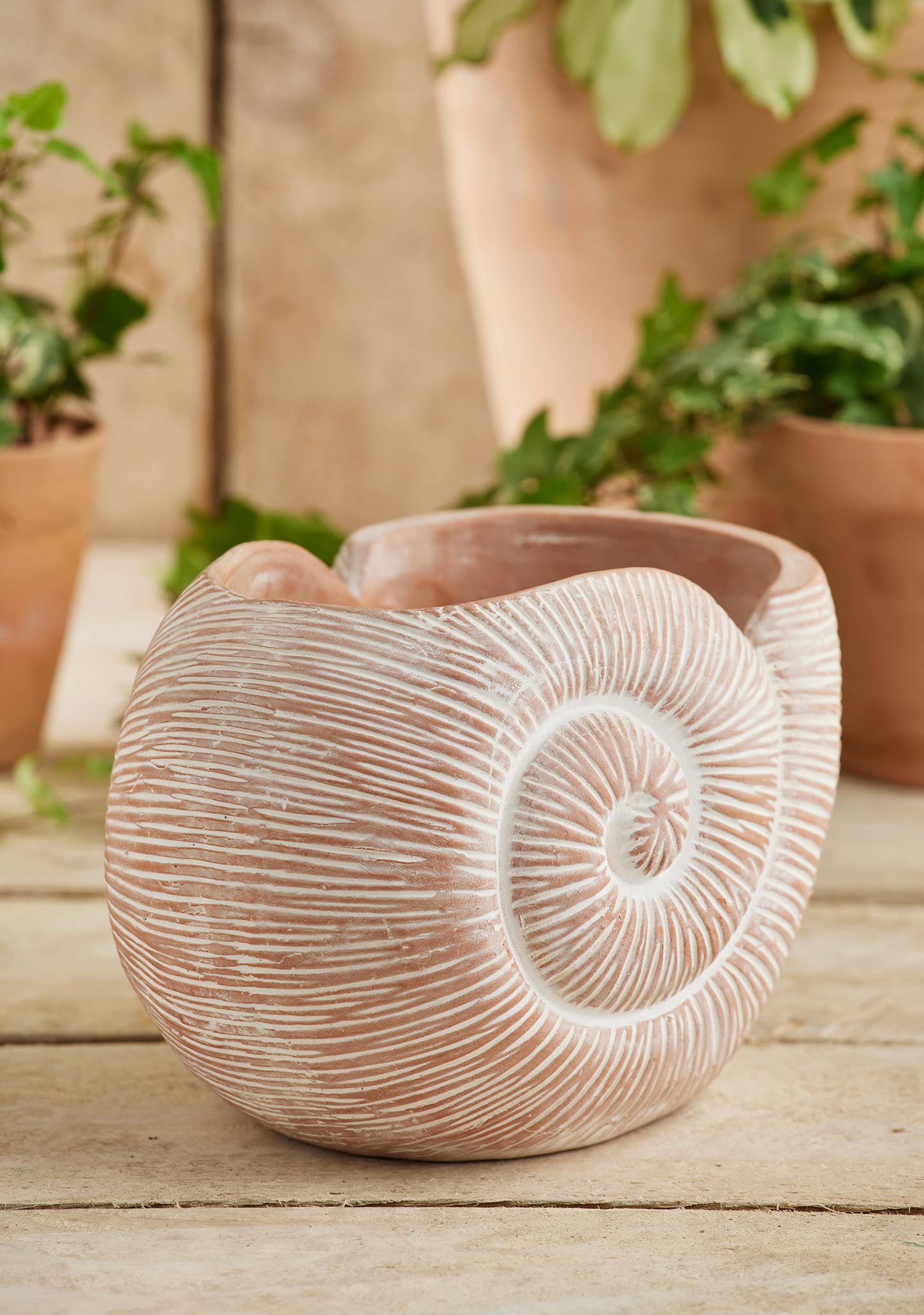 Terracotta Nautilus Planter
