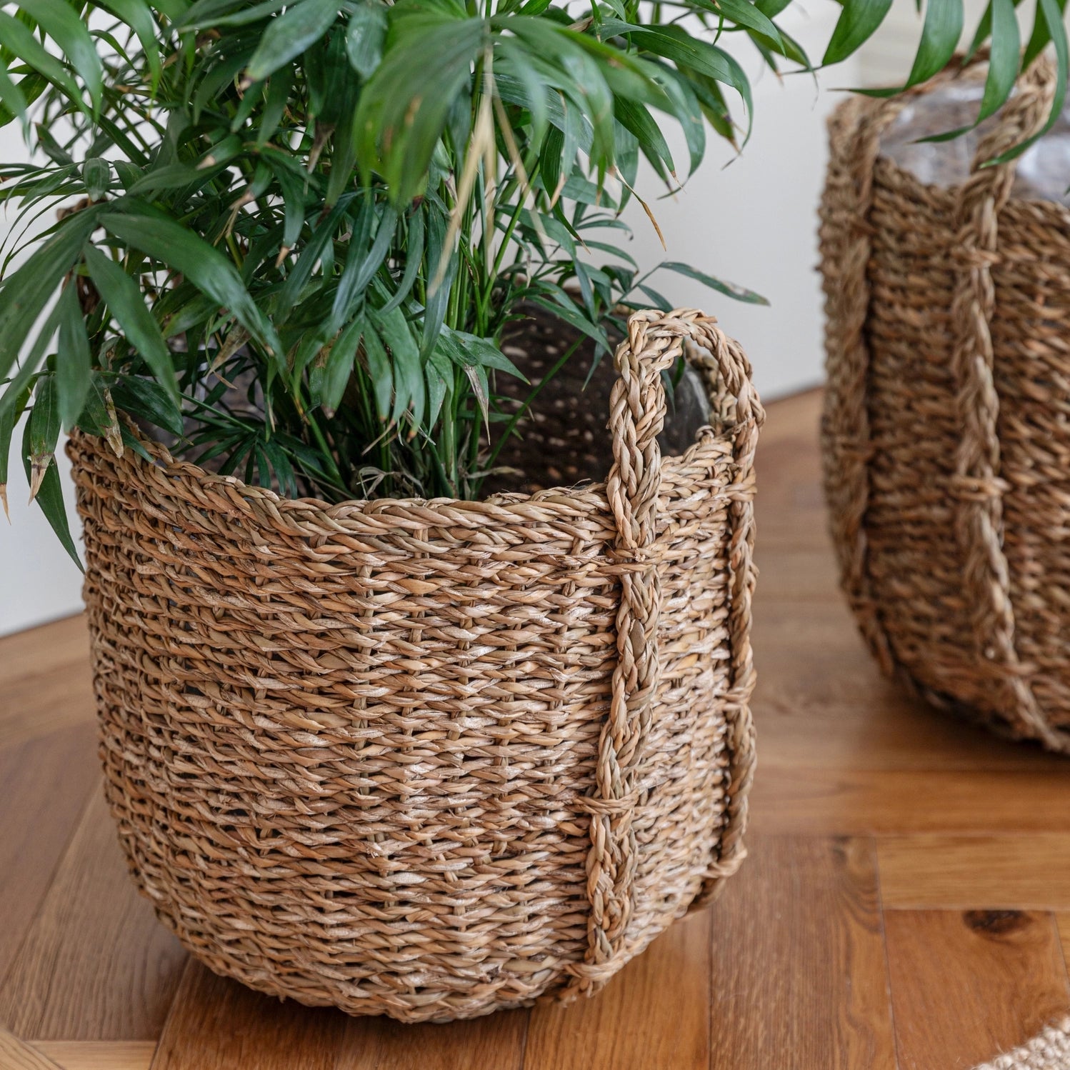 Tenno Natural Seagrass Indoor Lined Baskets