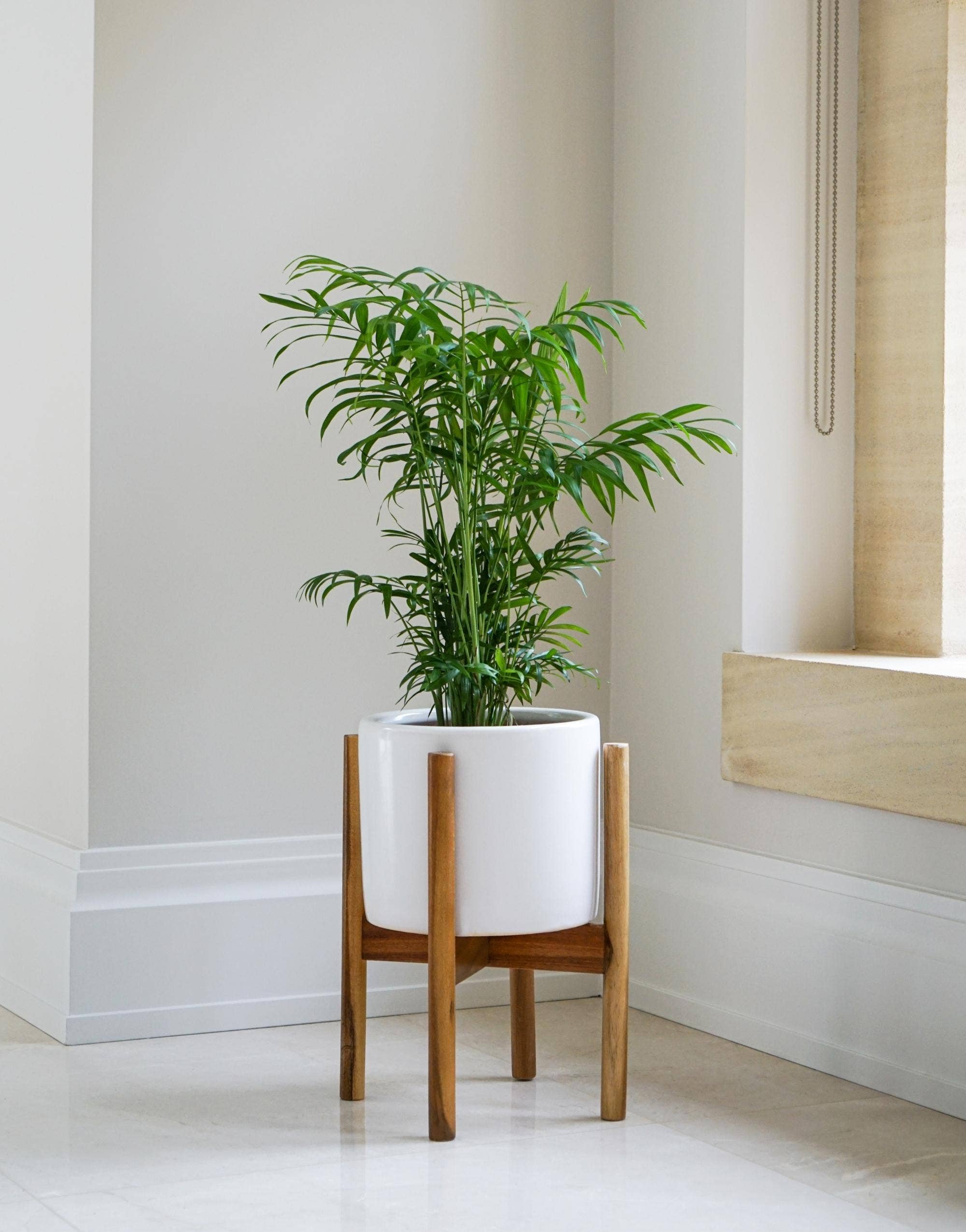 Anzio Planter with Wooden Stand