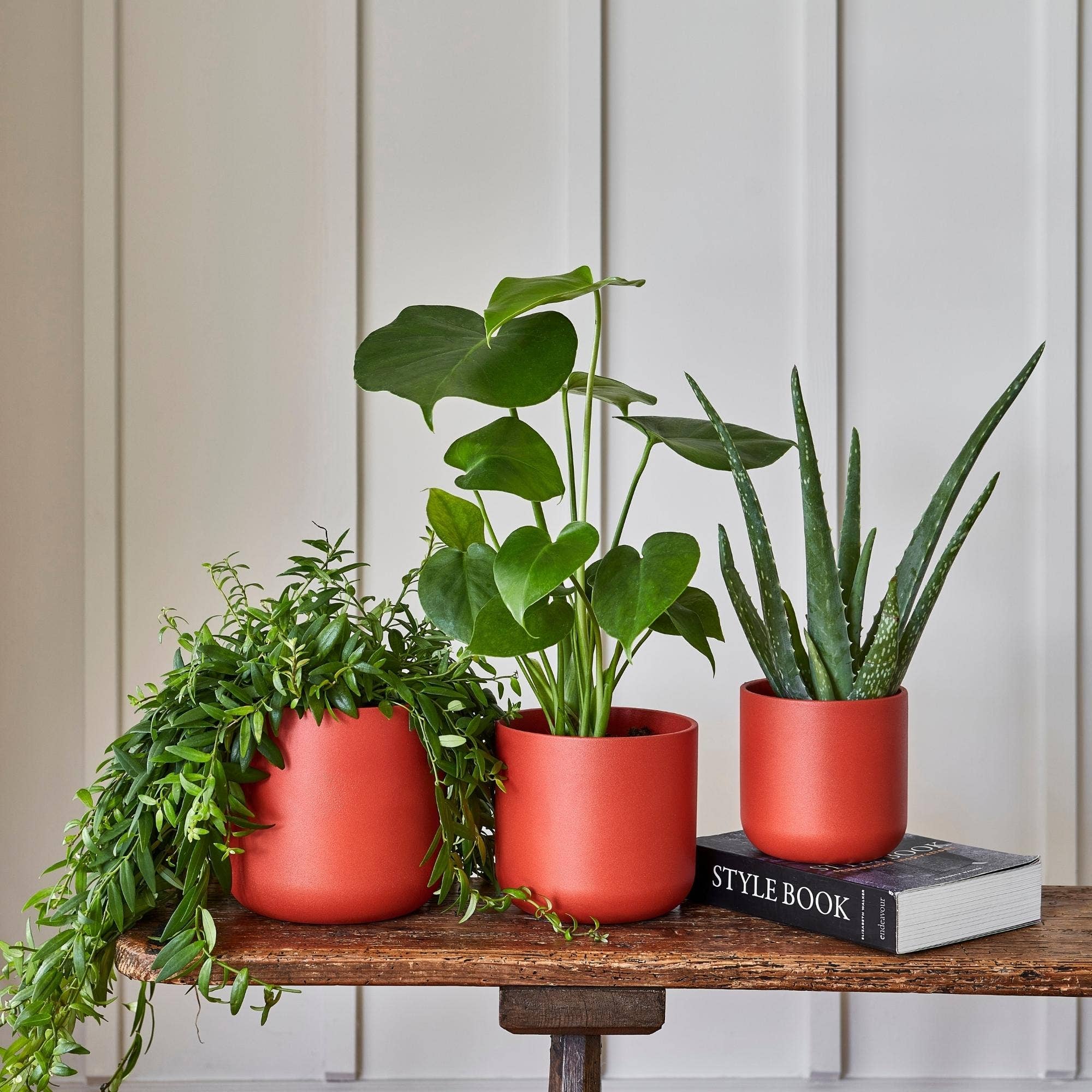 5cm plant pots Lisbon Ceramic Indoor Planter H11.5cm D11.5cm