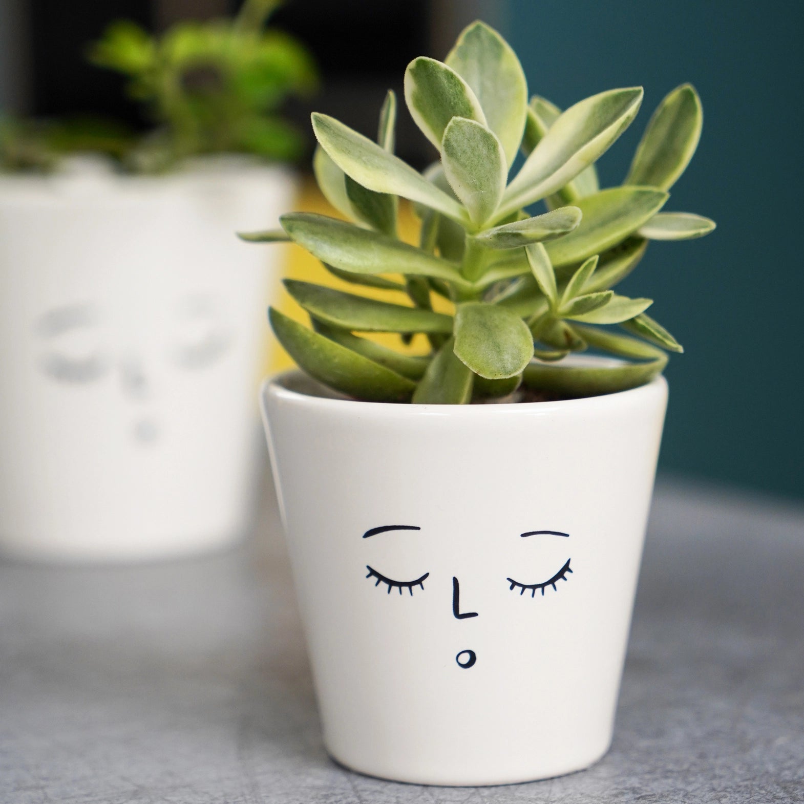 Face Planter Sleepy D7xH7cm