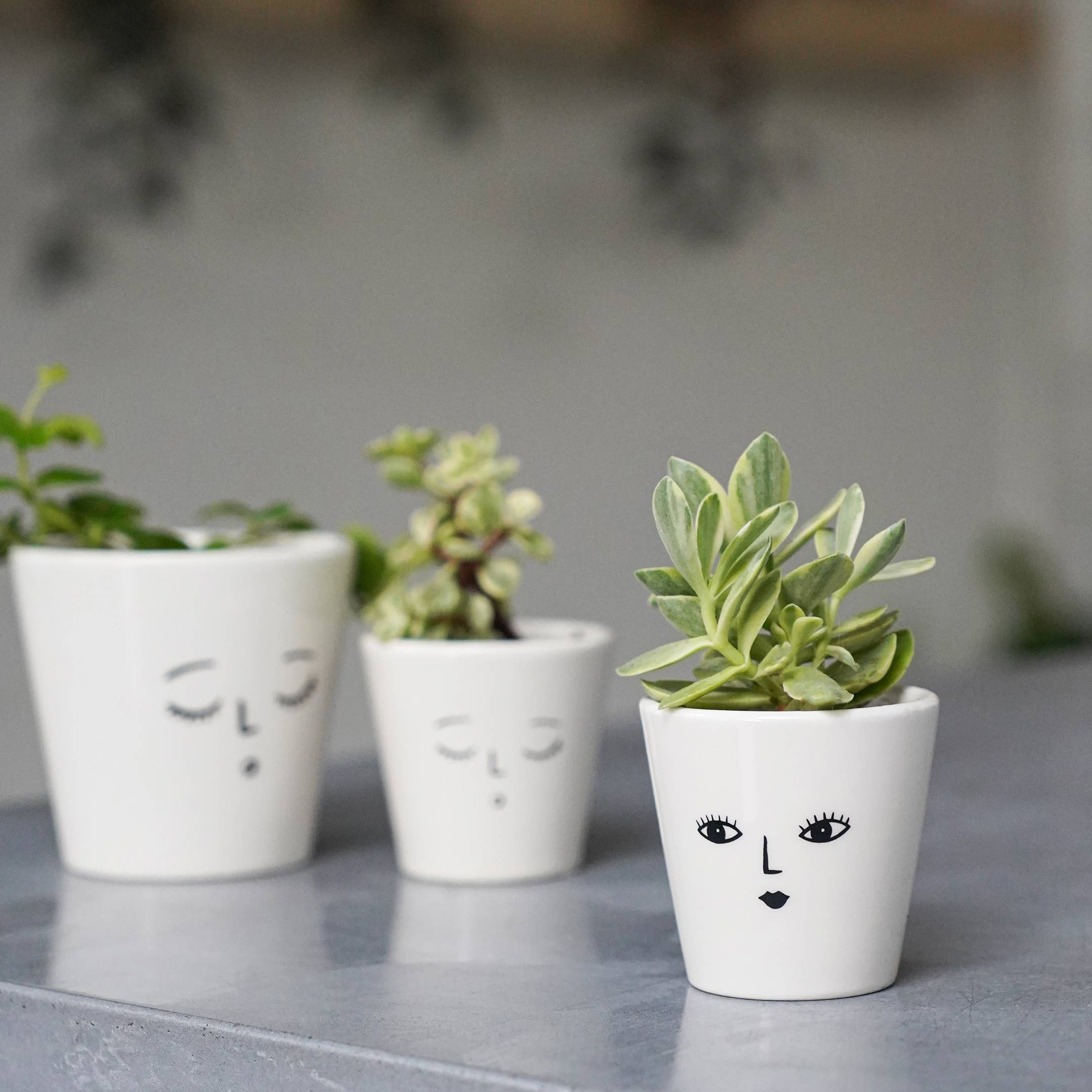 Face Cacti Planter Wakey