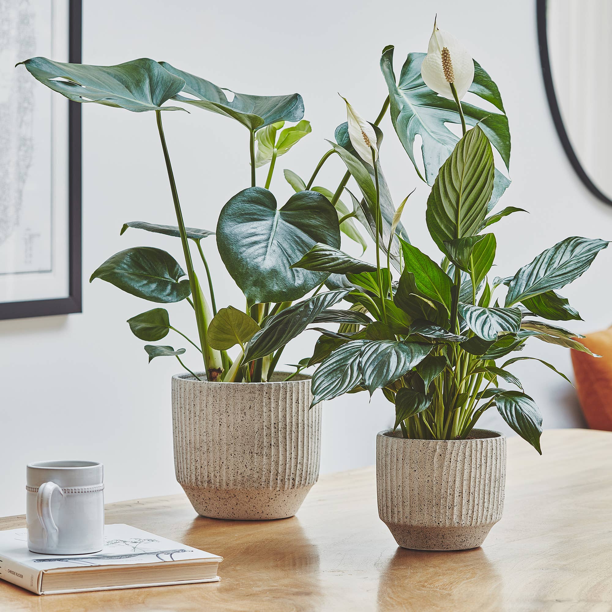 Solento Speckle Planter 20cm