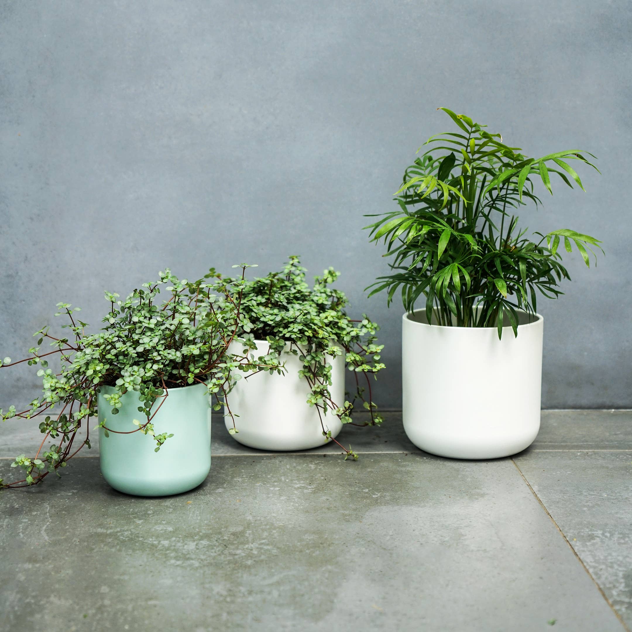 Lisbon Ceramic Indoor Planter H13.5cm D13.5cm