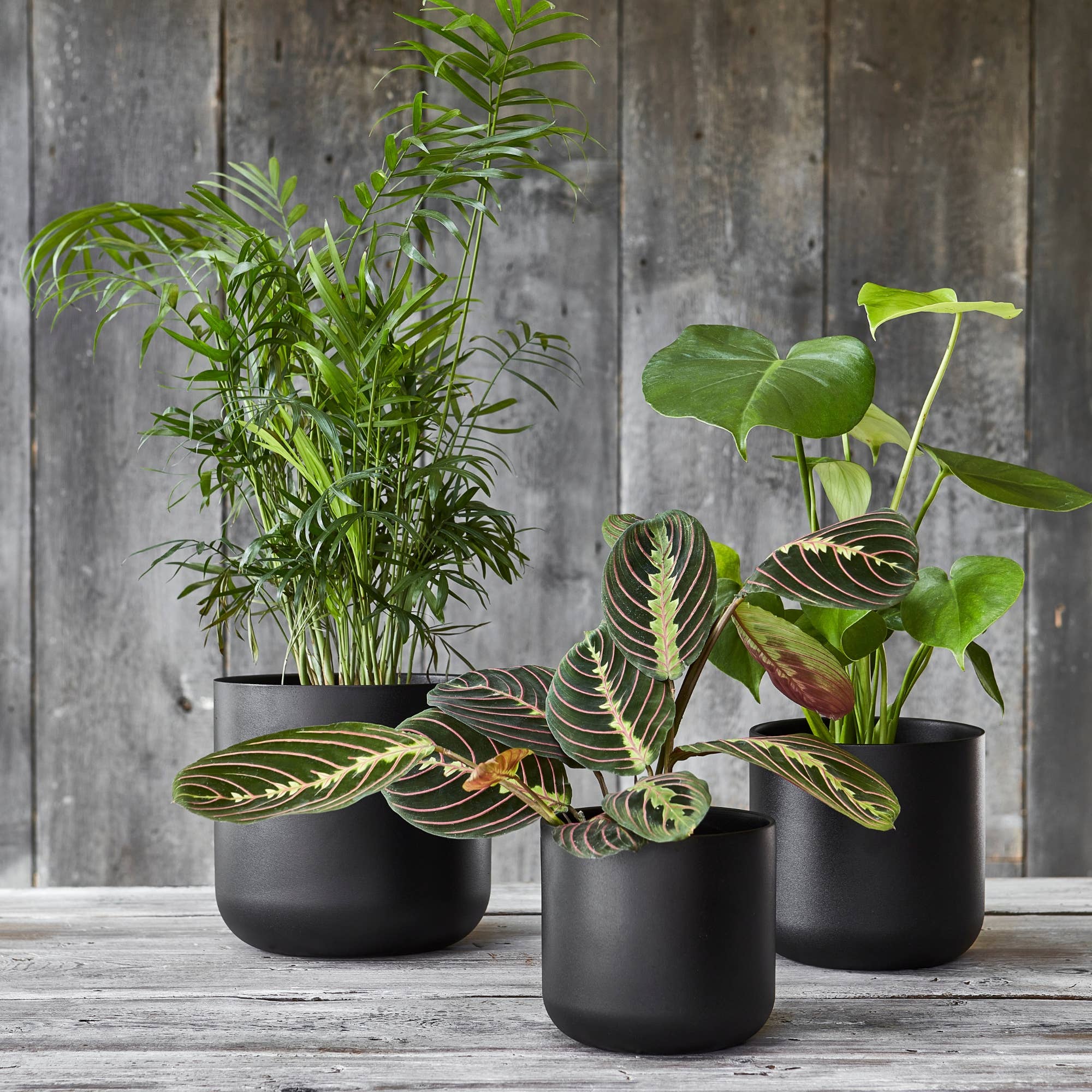 5cm plant pots Lisbon Ceramic Indoor Planter H11.5cm D11.5cm