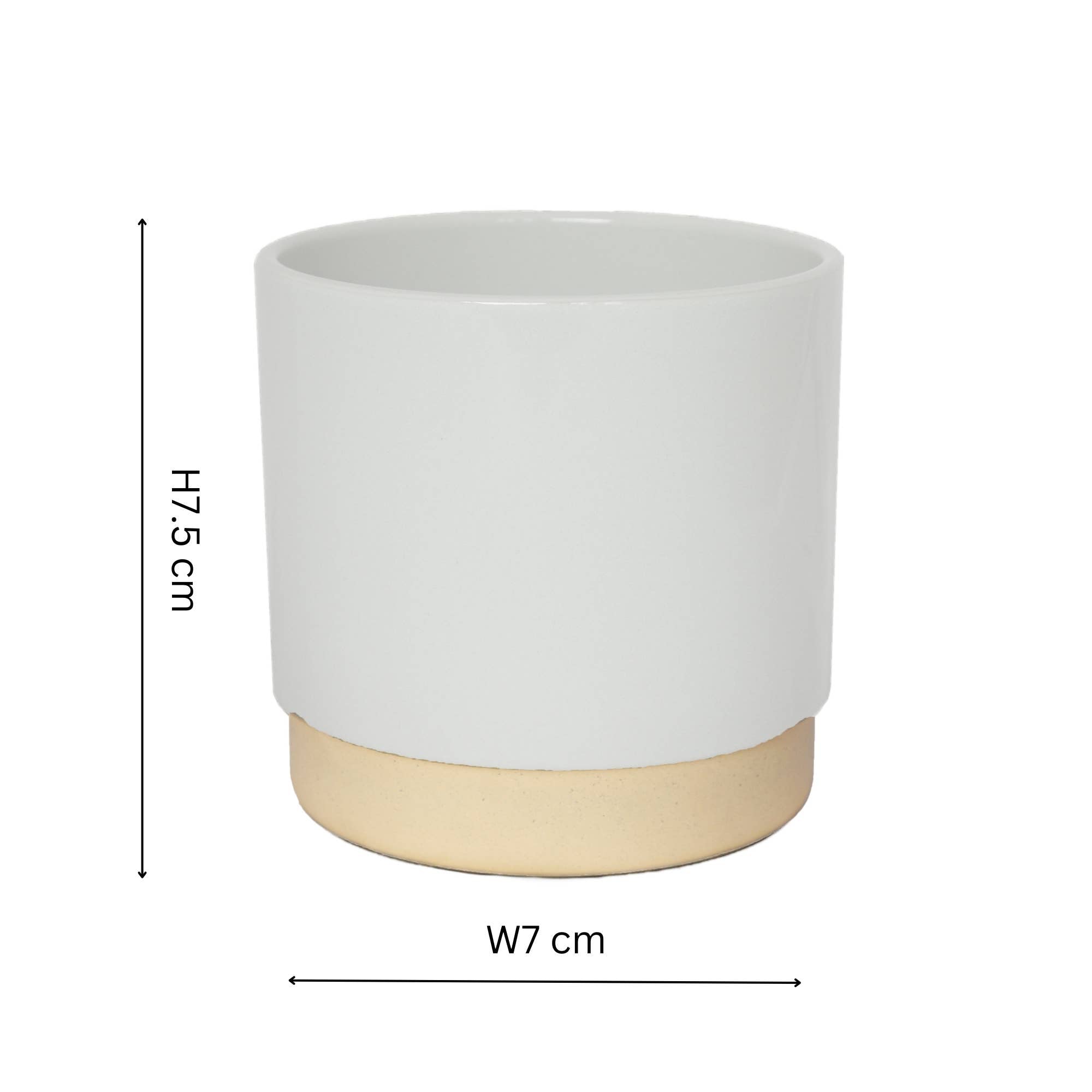 Enos Ceramic Indoor Cacti Plant Pot