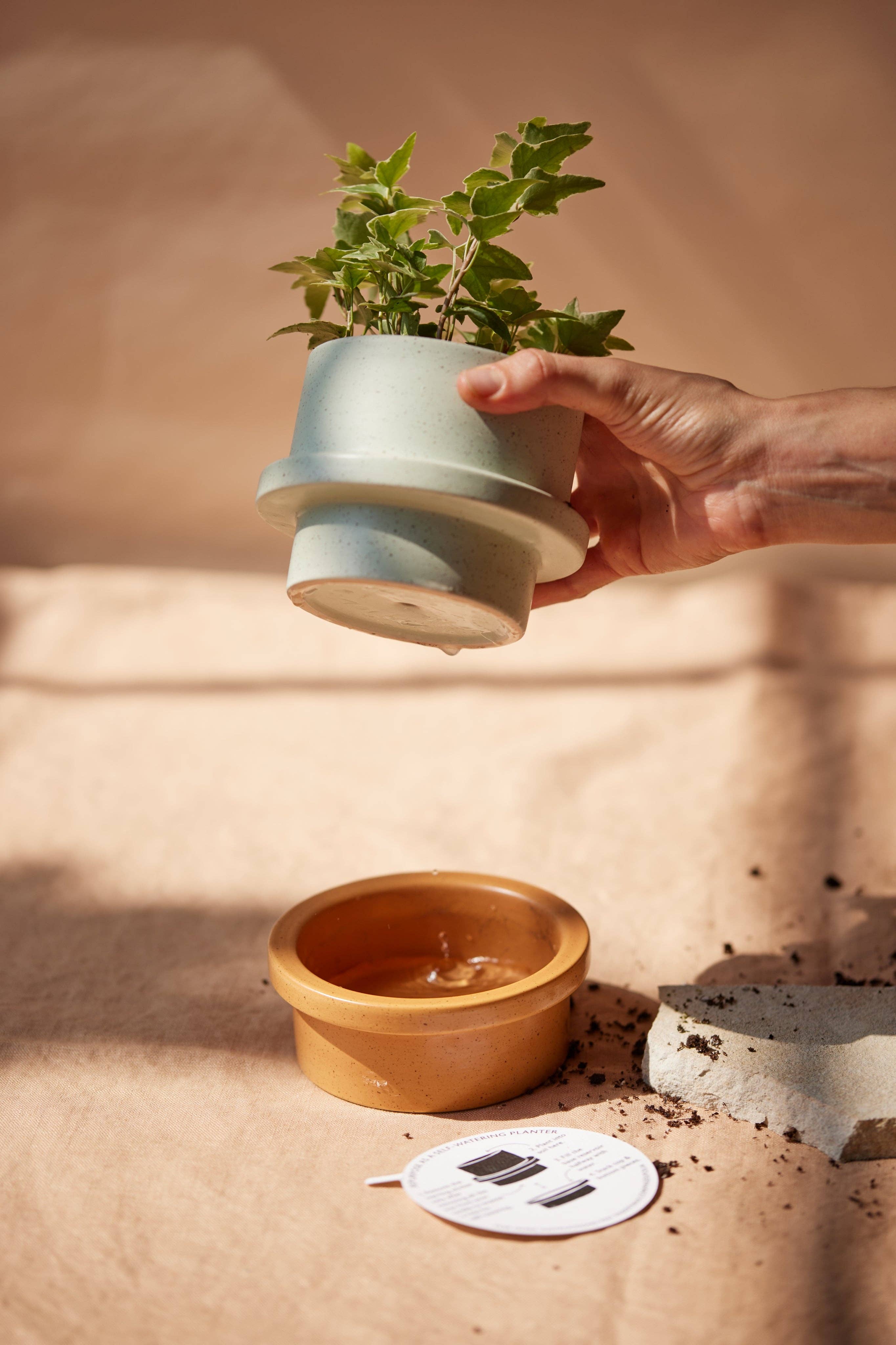 Paddywax Folia Ceramic Candle - Emerald - Thyme & Olive Leaf